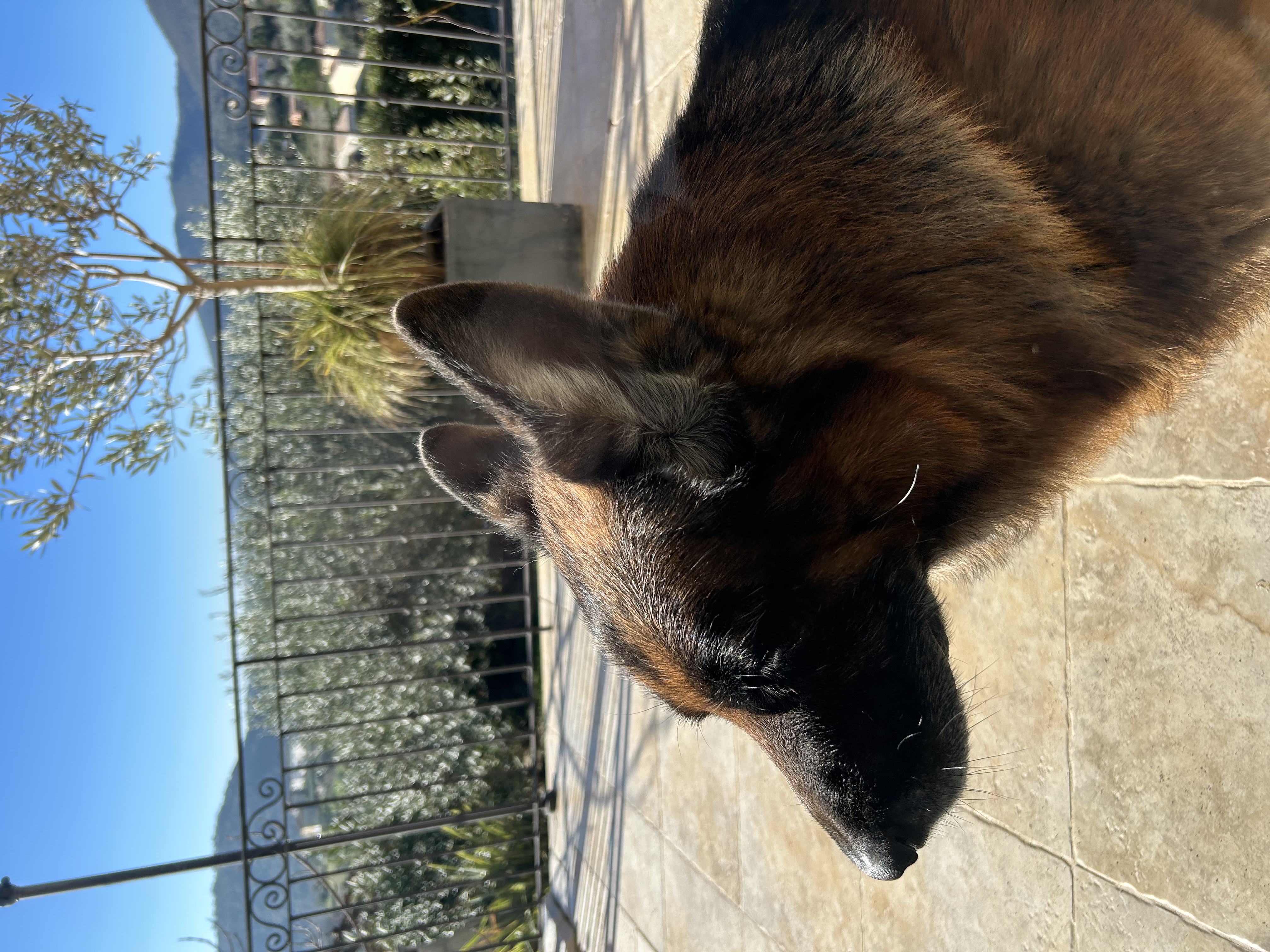 image-6