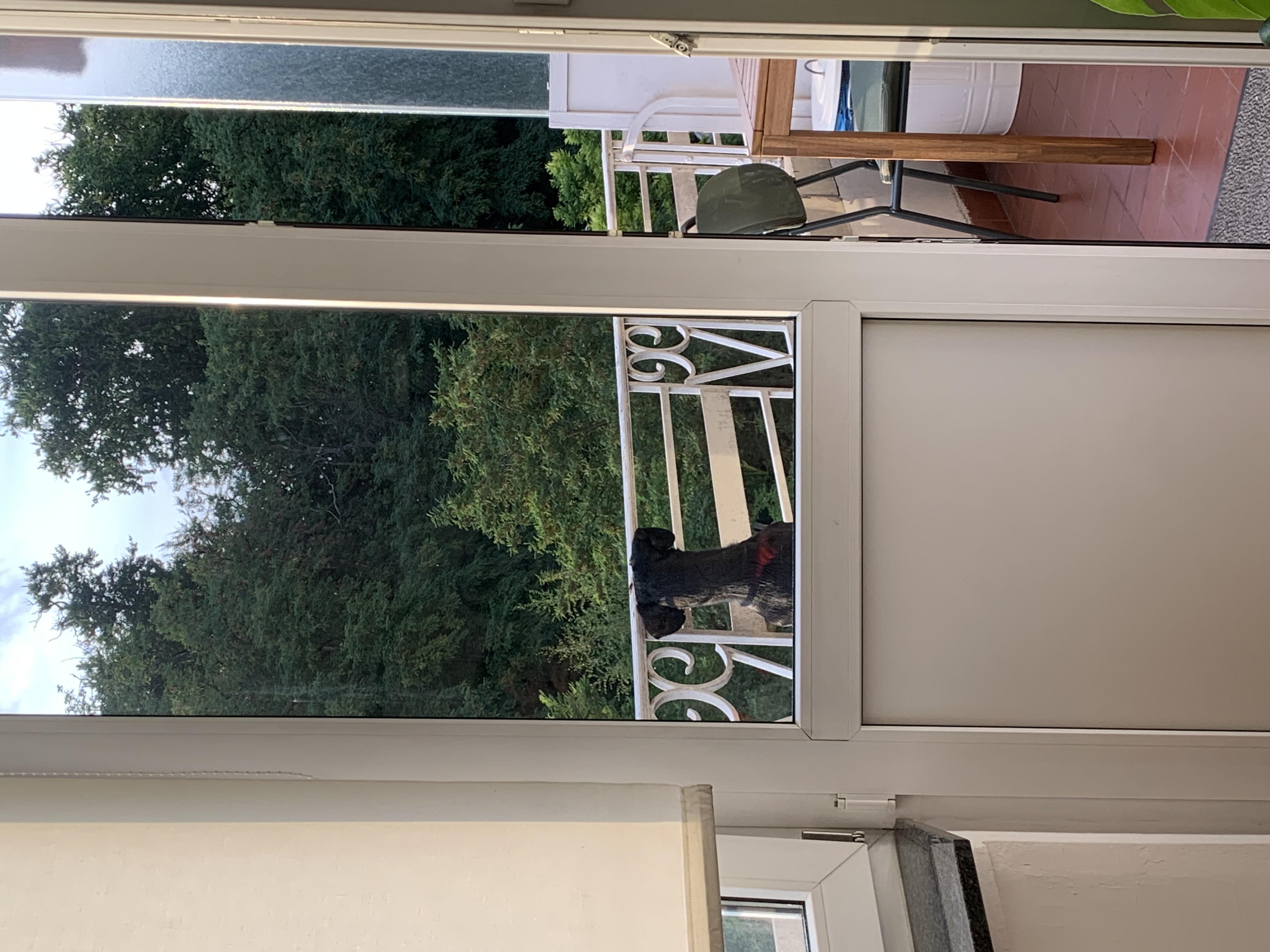 image-14