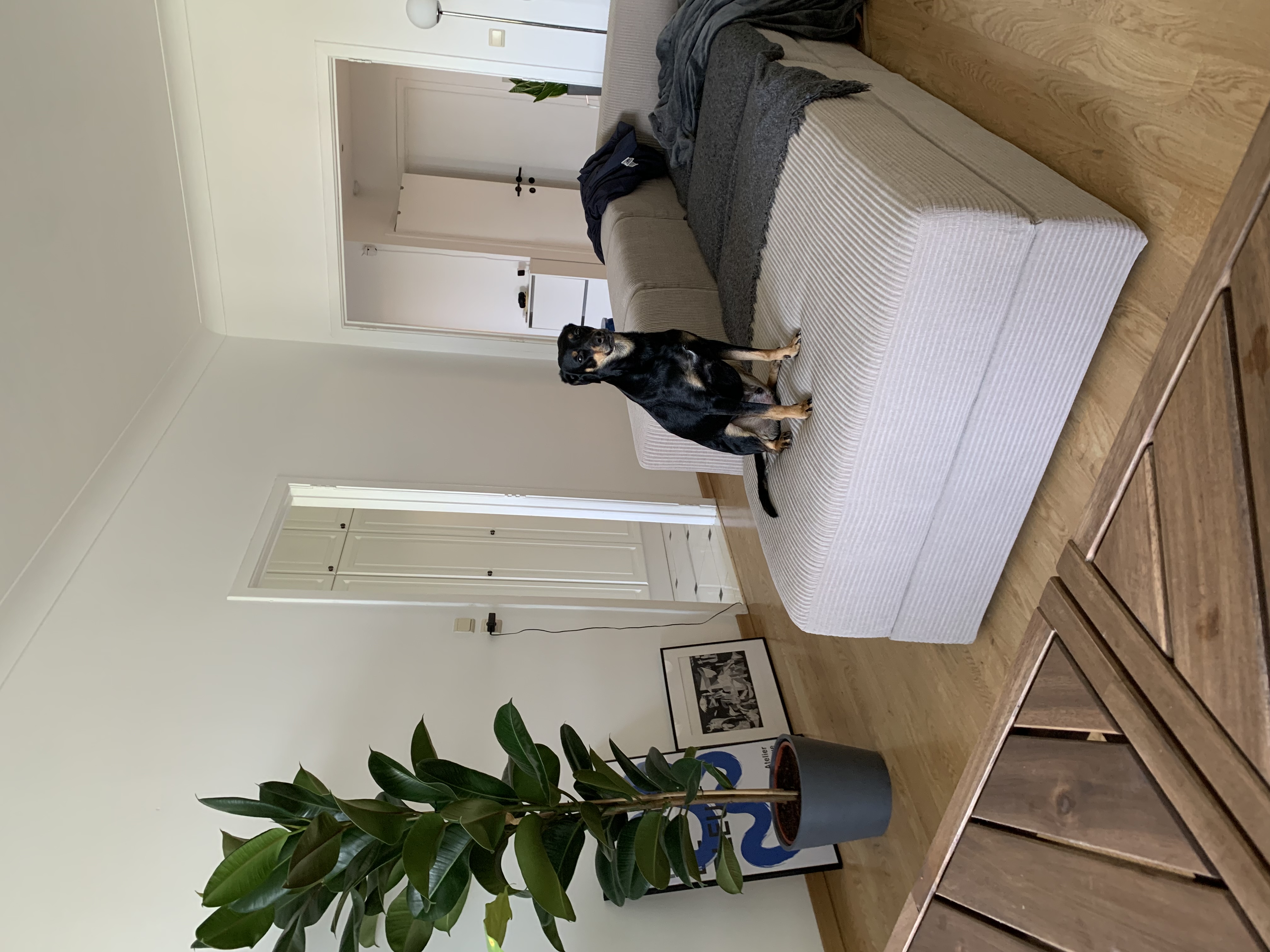 image-18