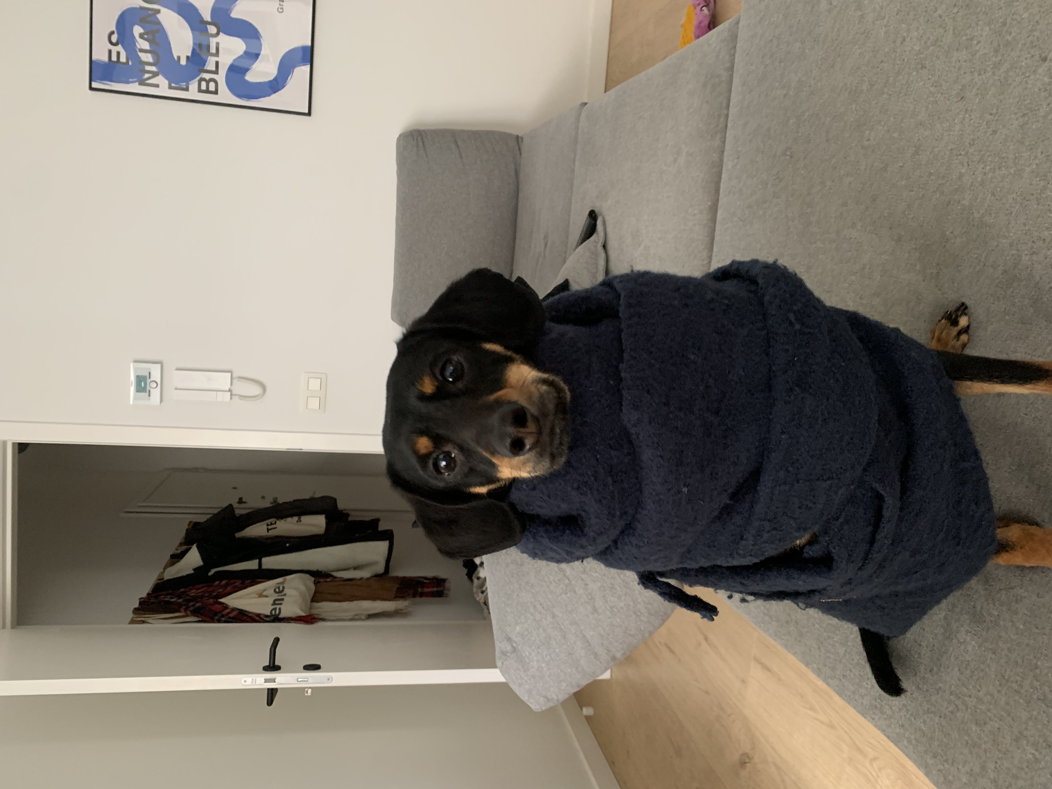 image-7