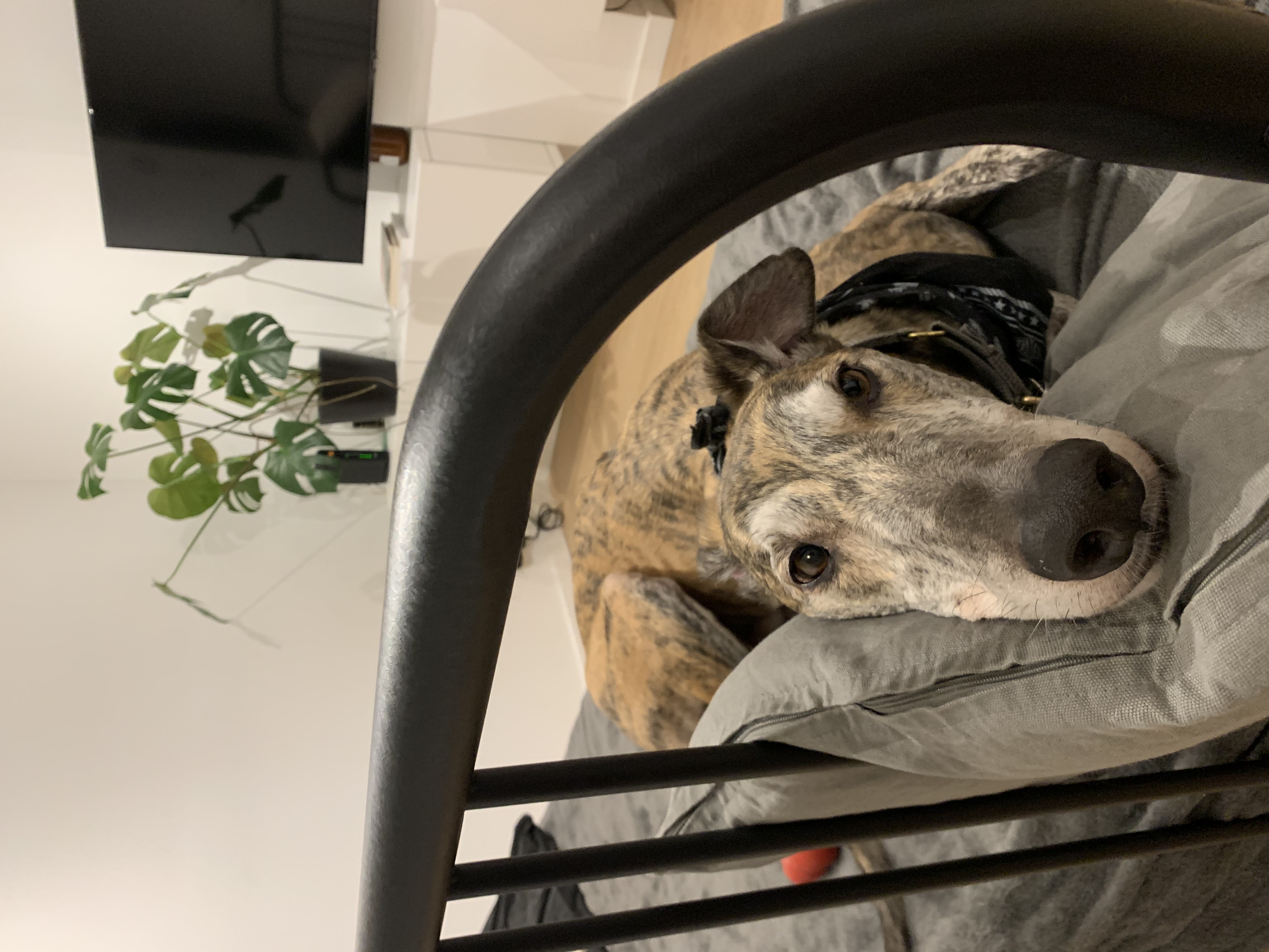 image-6