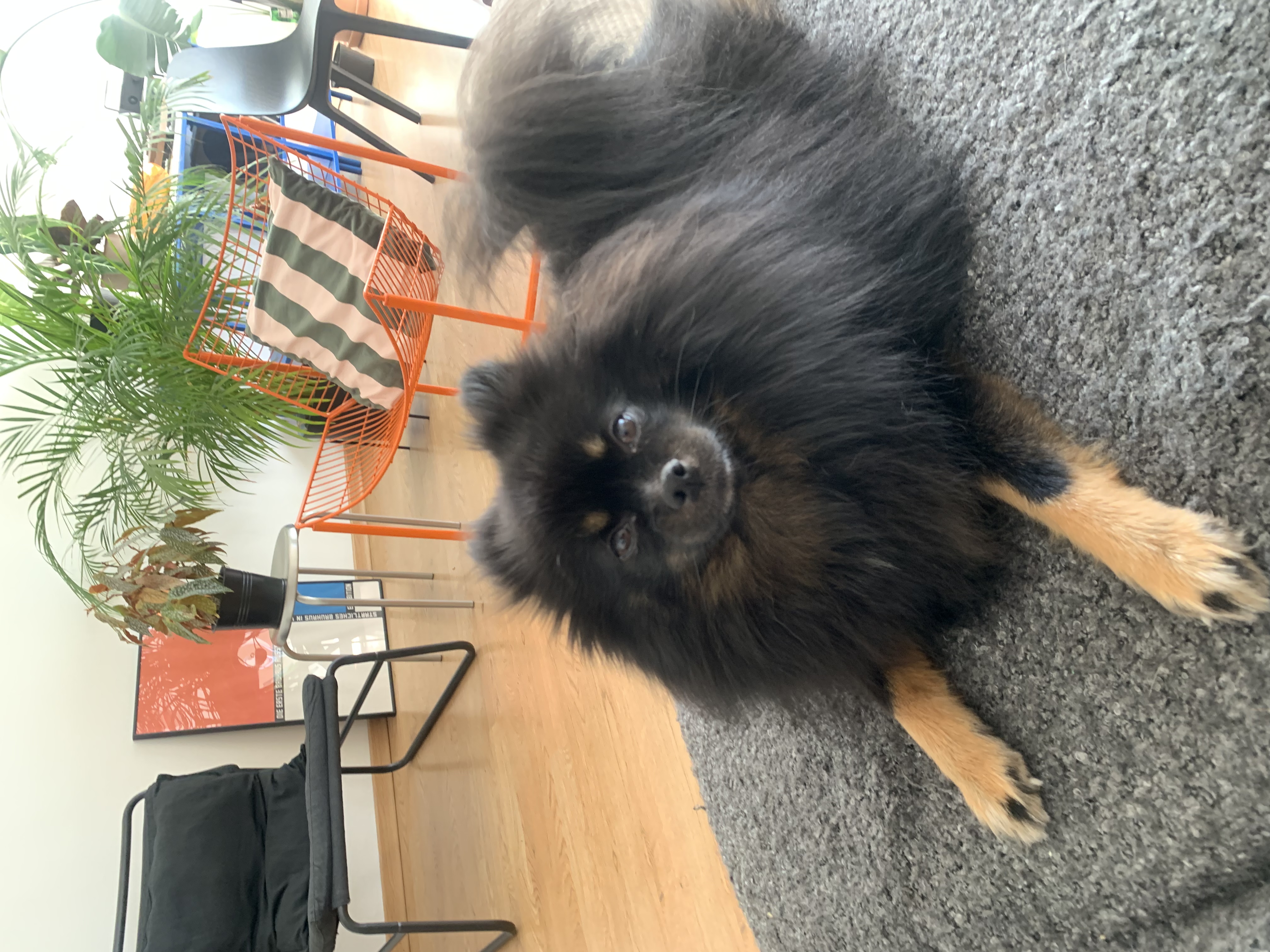 image-16
