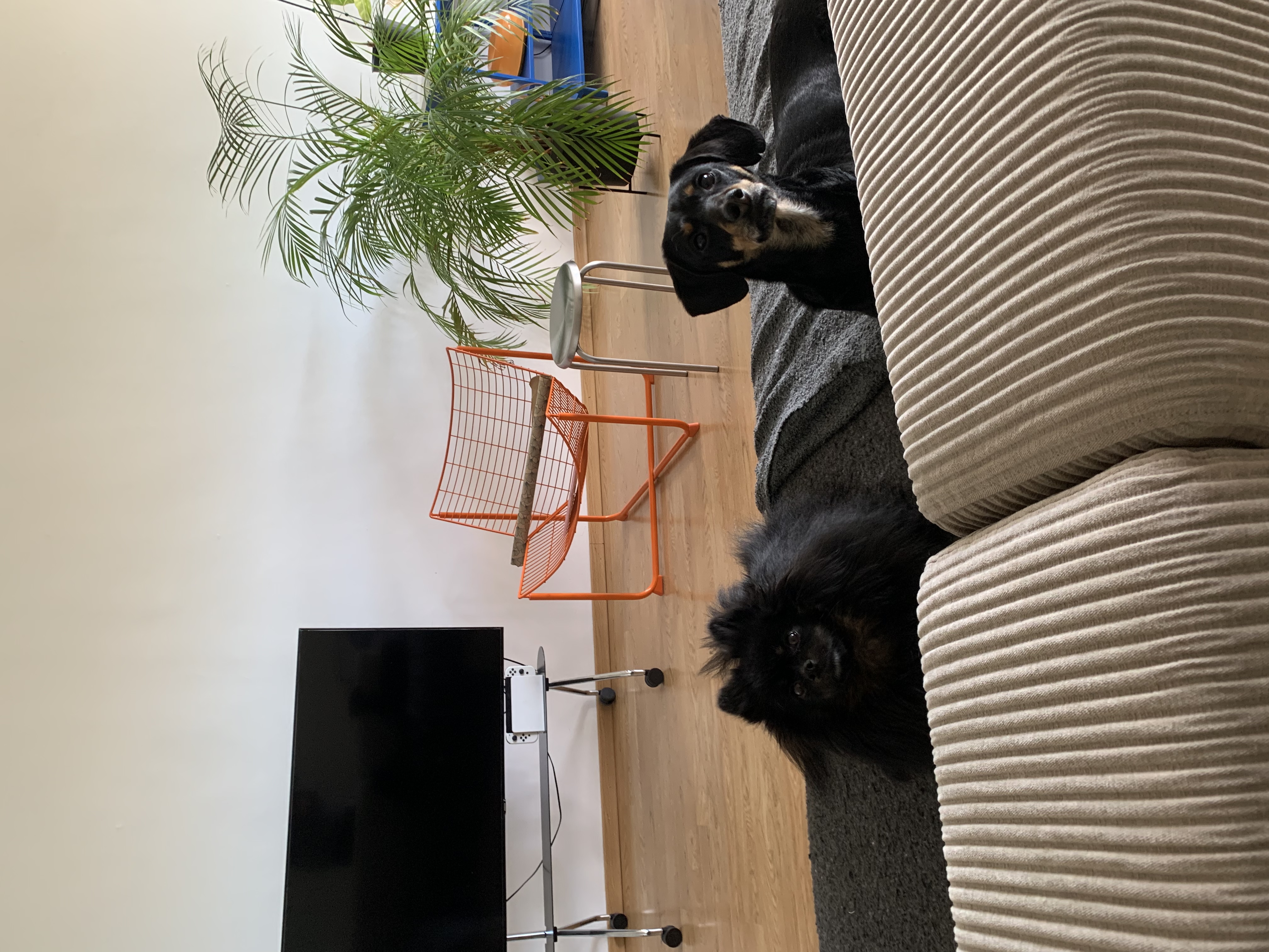 image-10