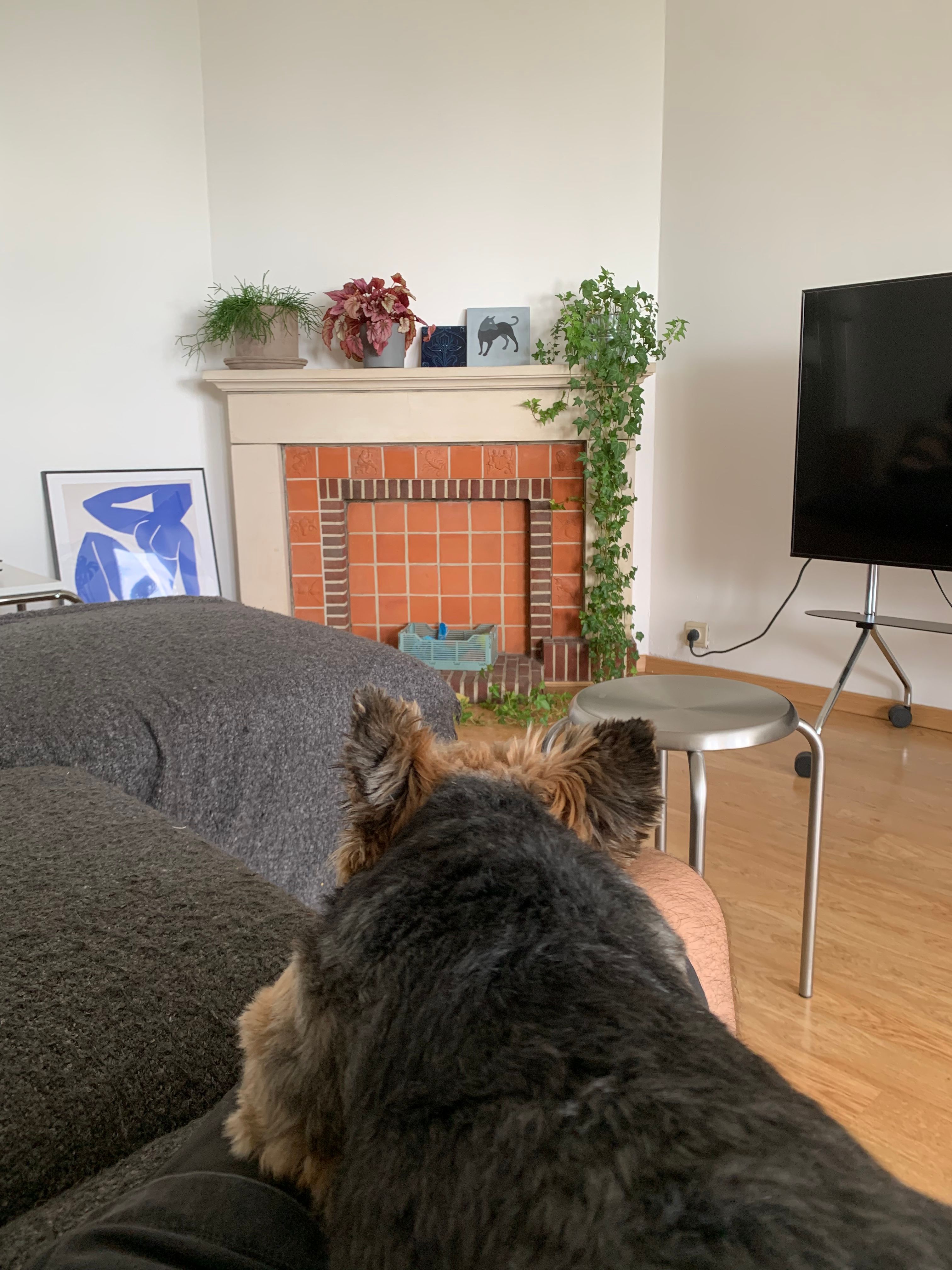 image-11