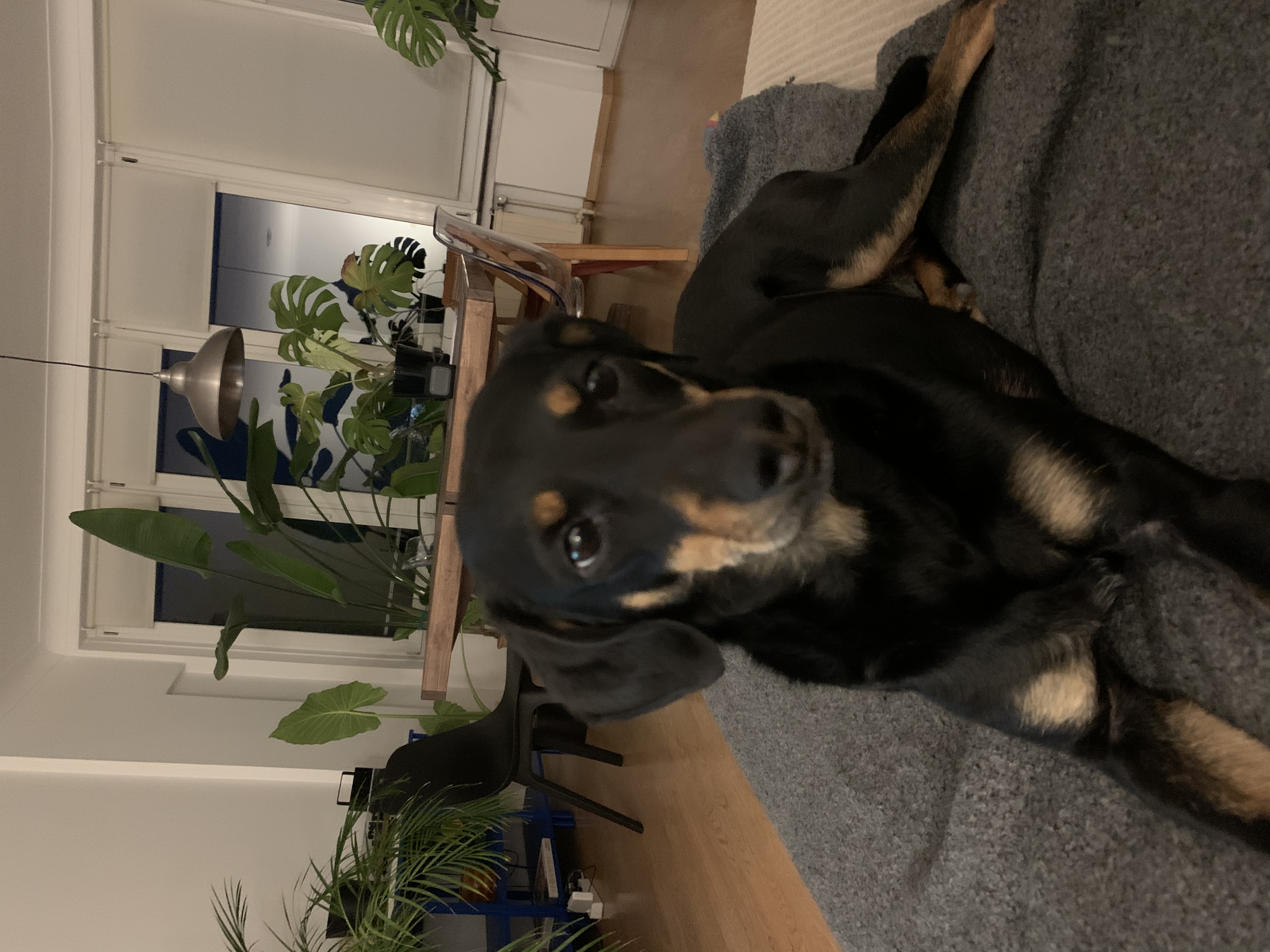 image-12