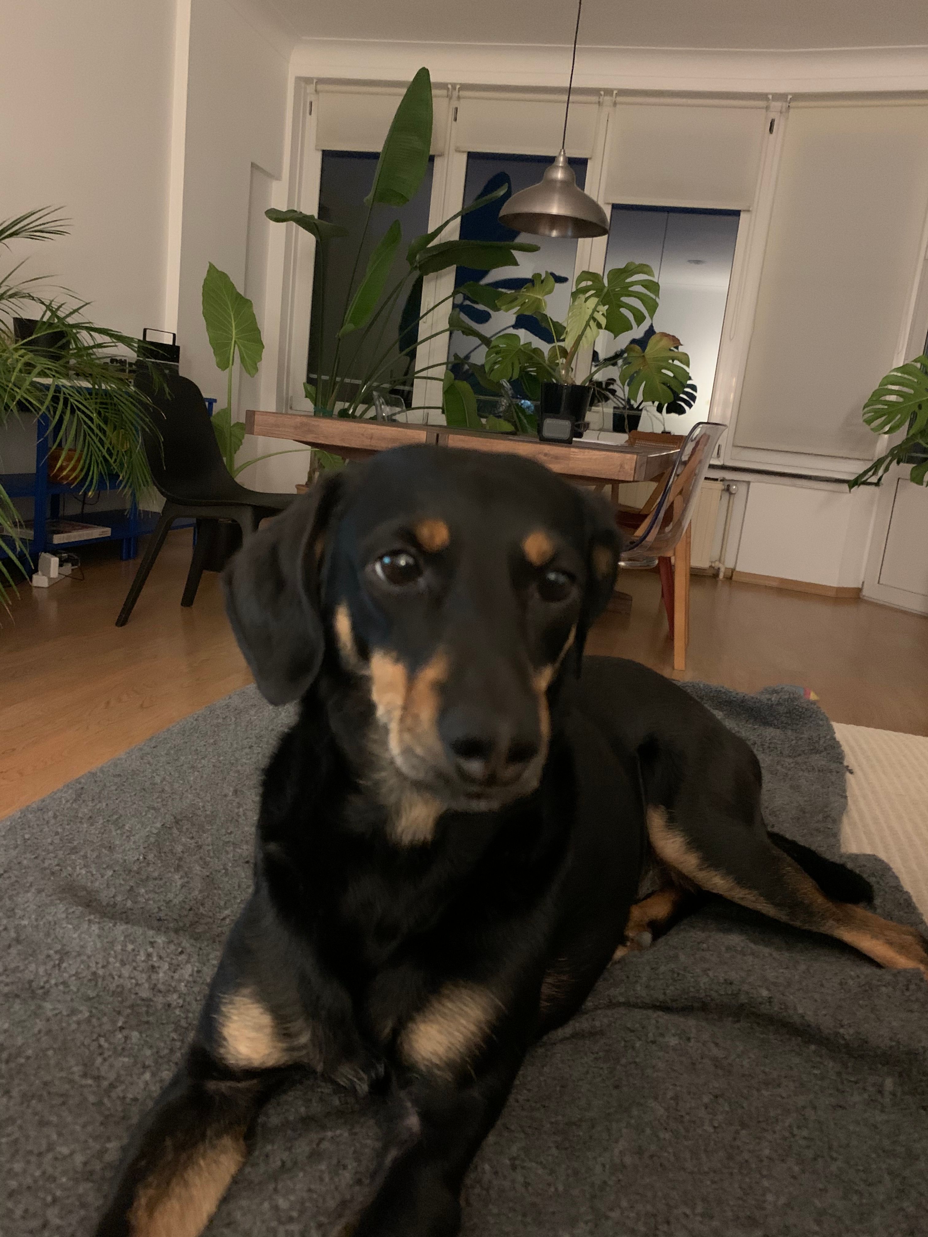 image-12