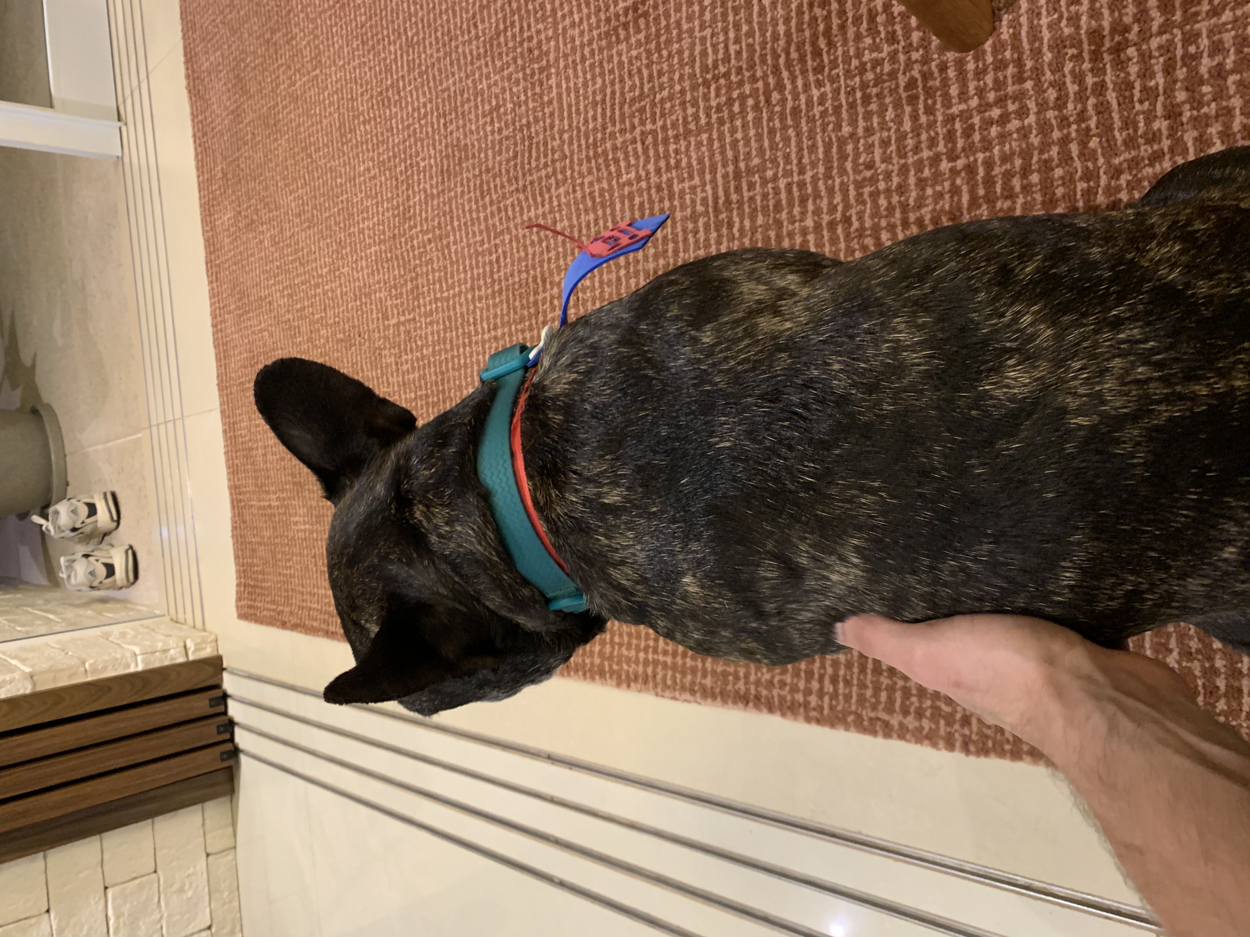 image-9