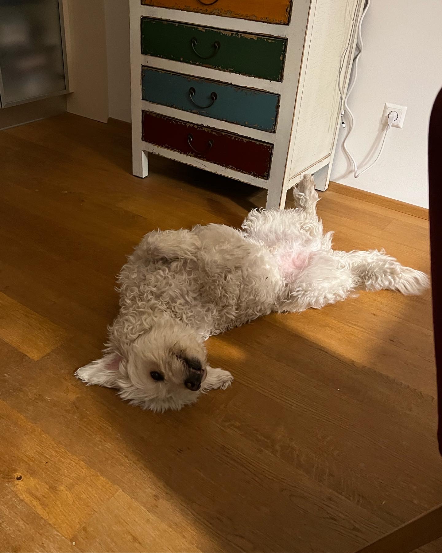 image-6