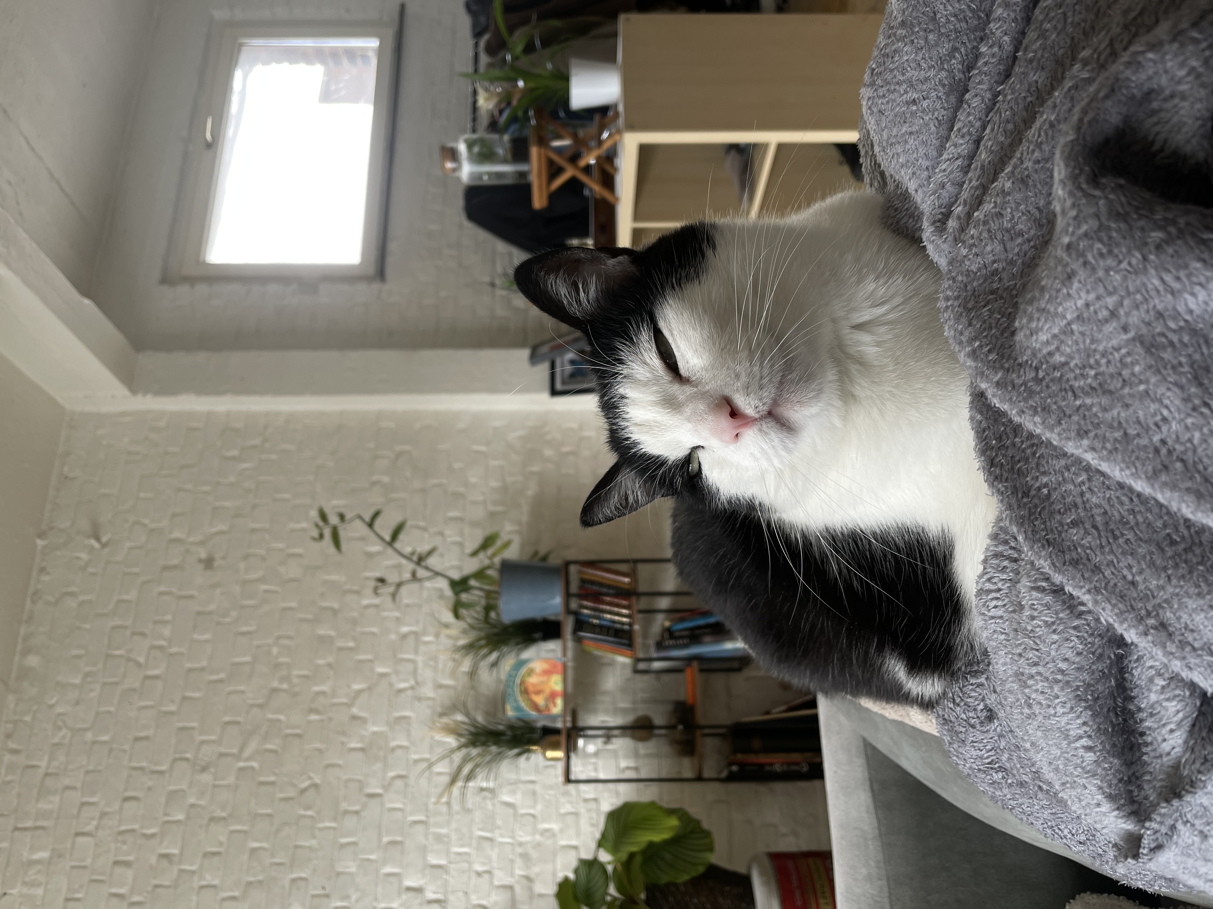 image-11