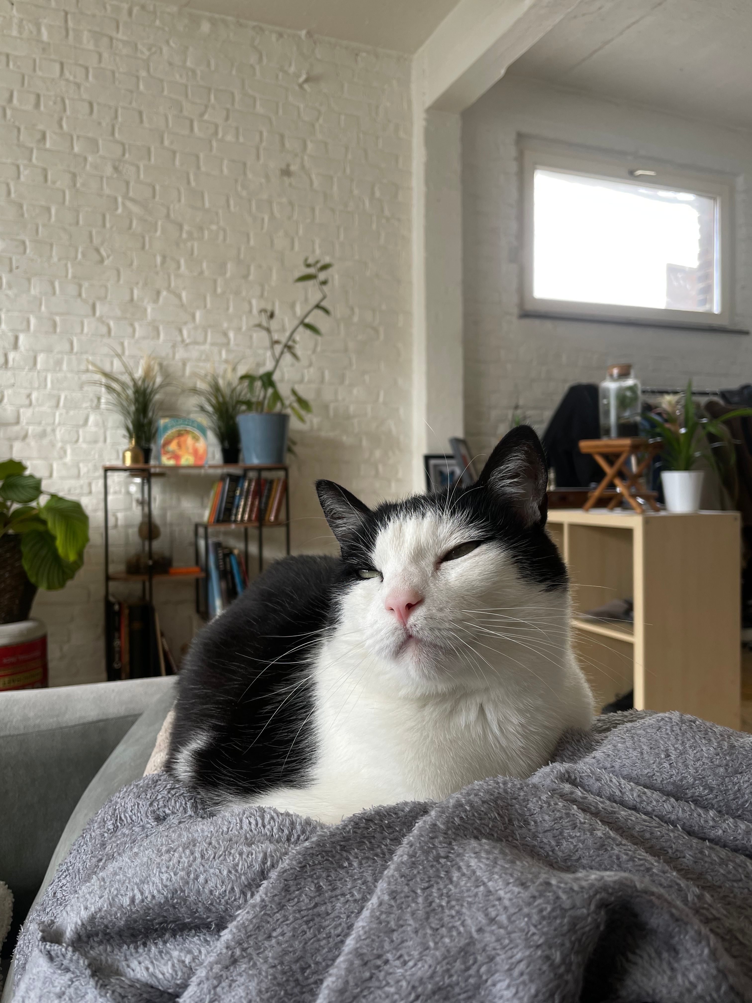 image-11