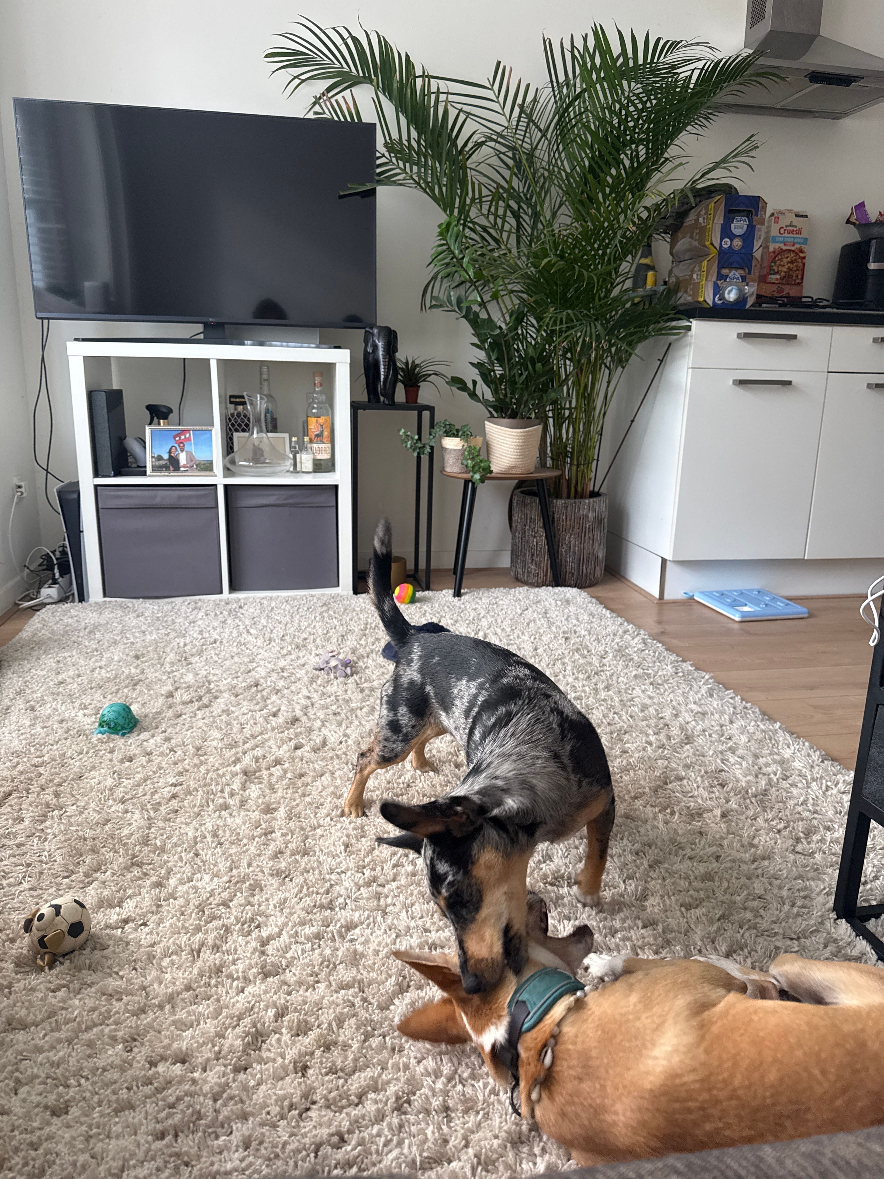 image-29