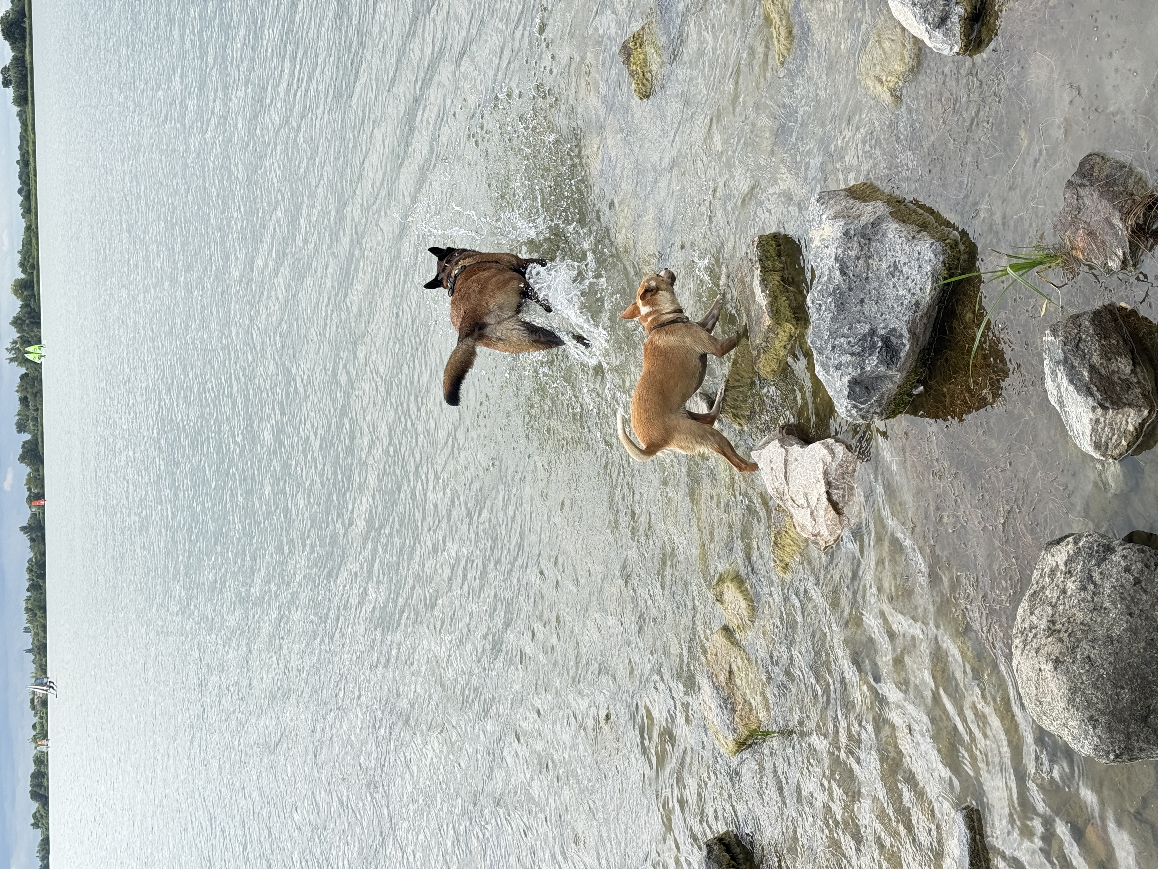 image-9
