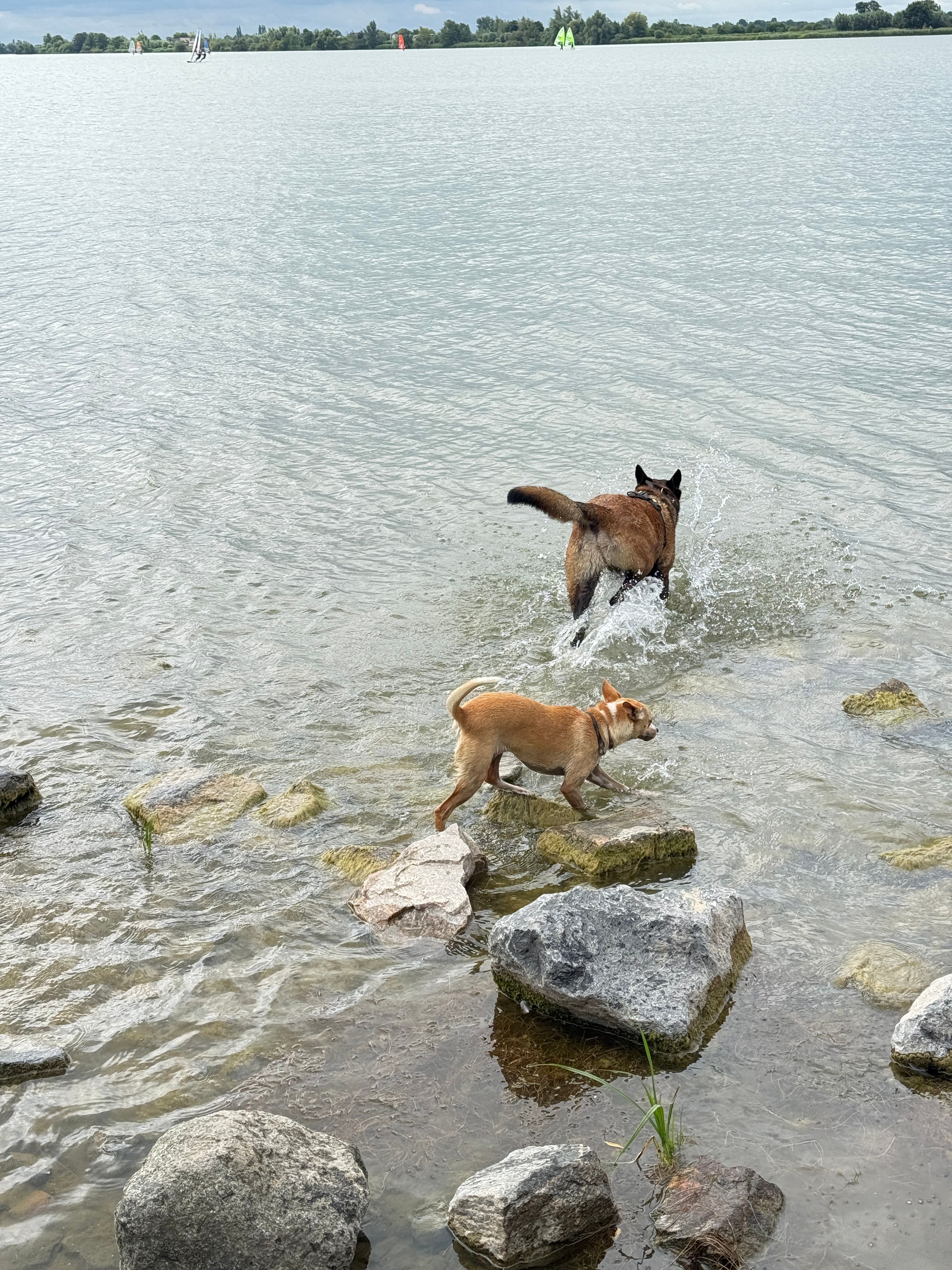 image-9