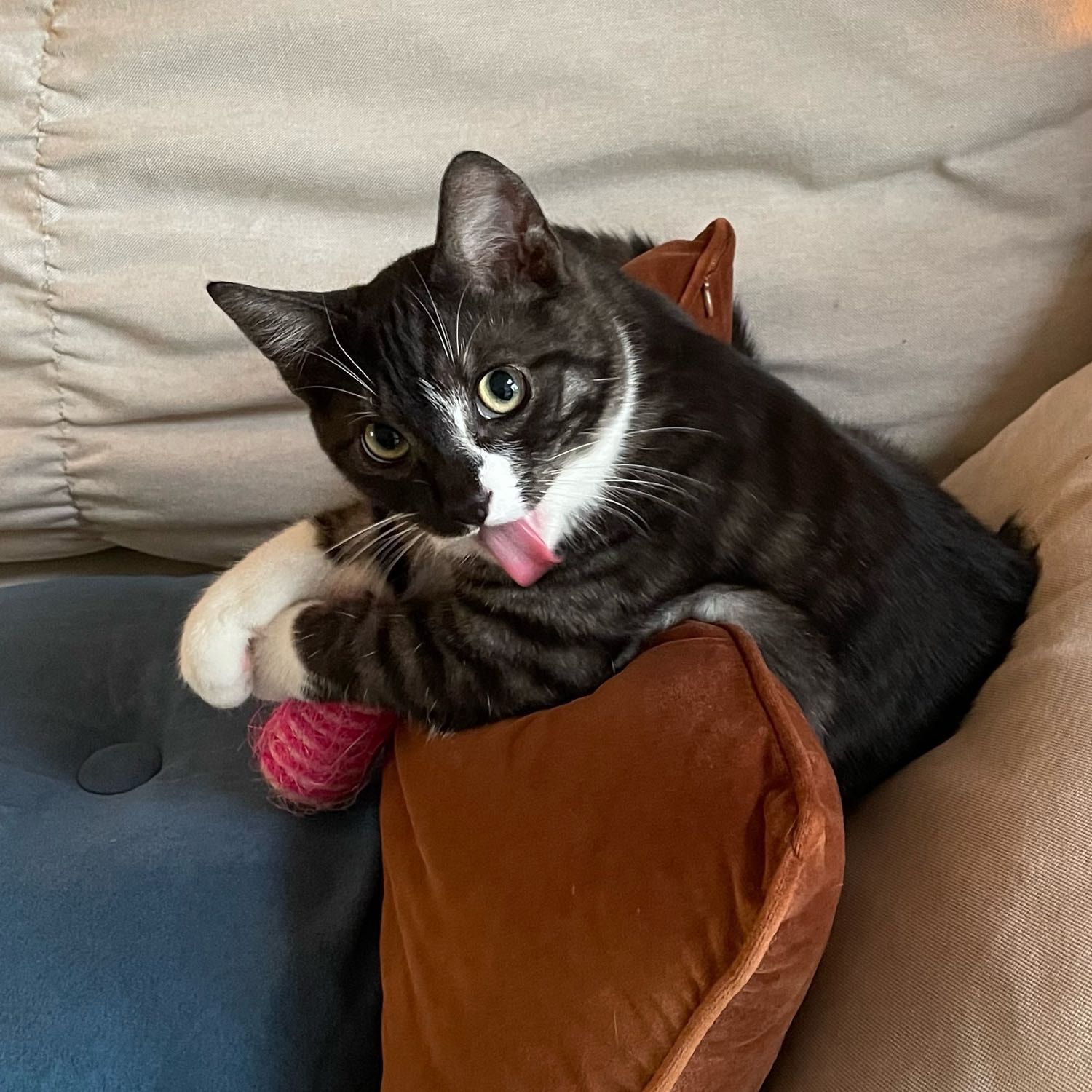 Basil