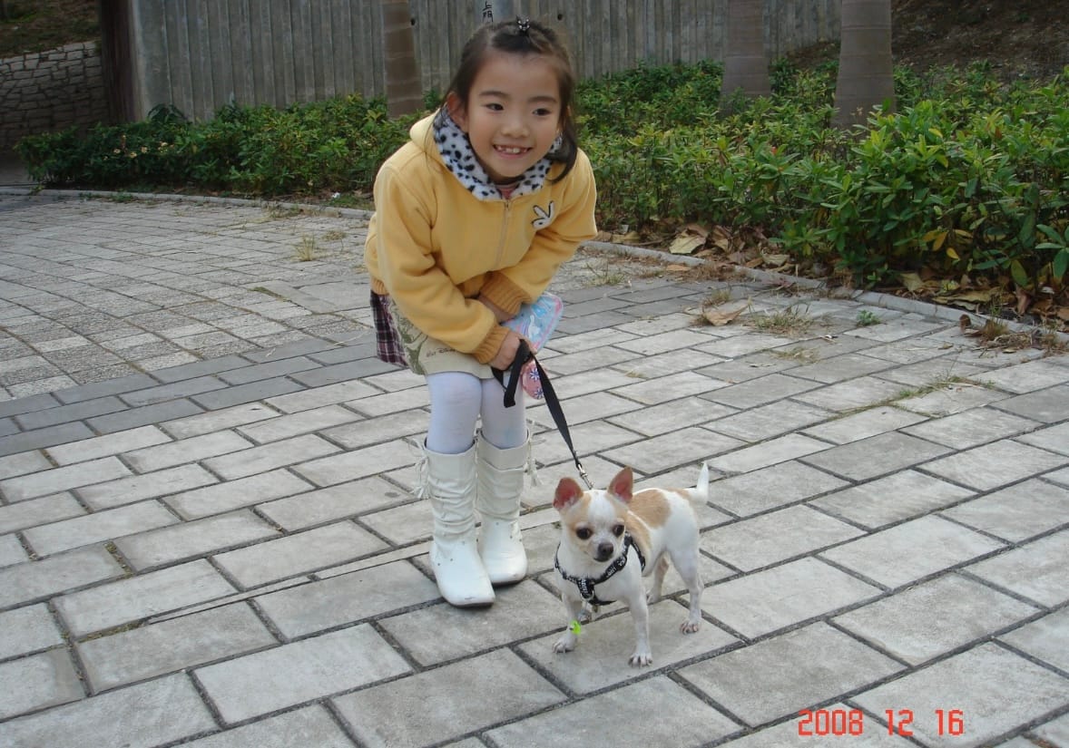 image-5