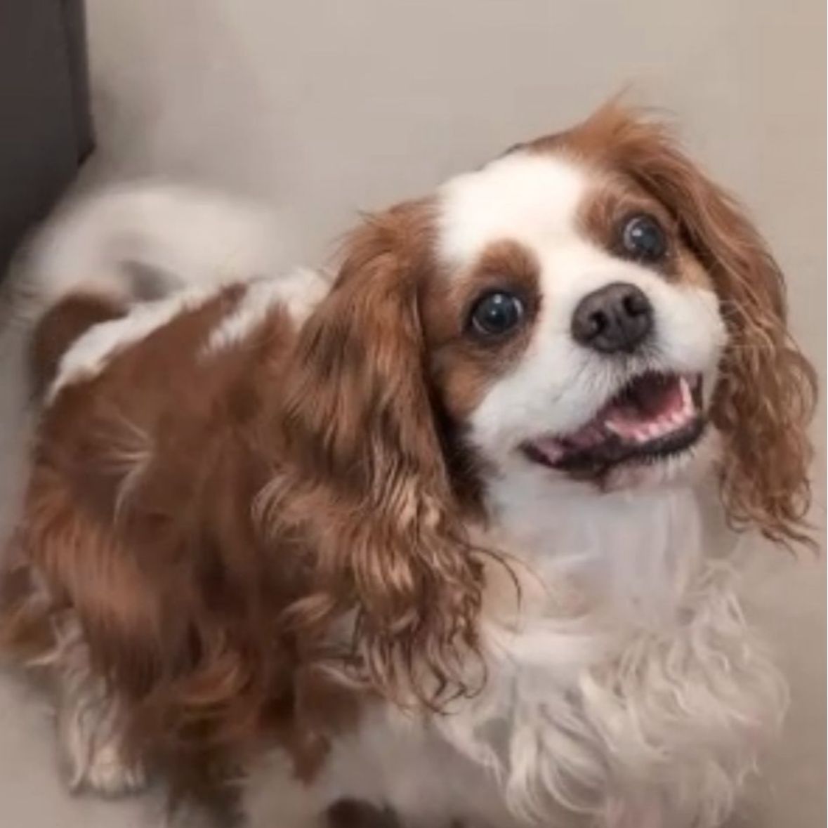 Charlie