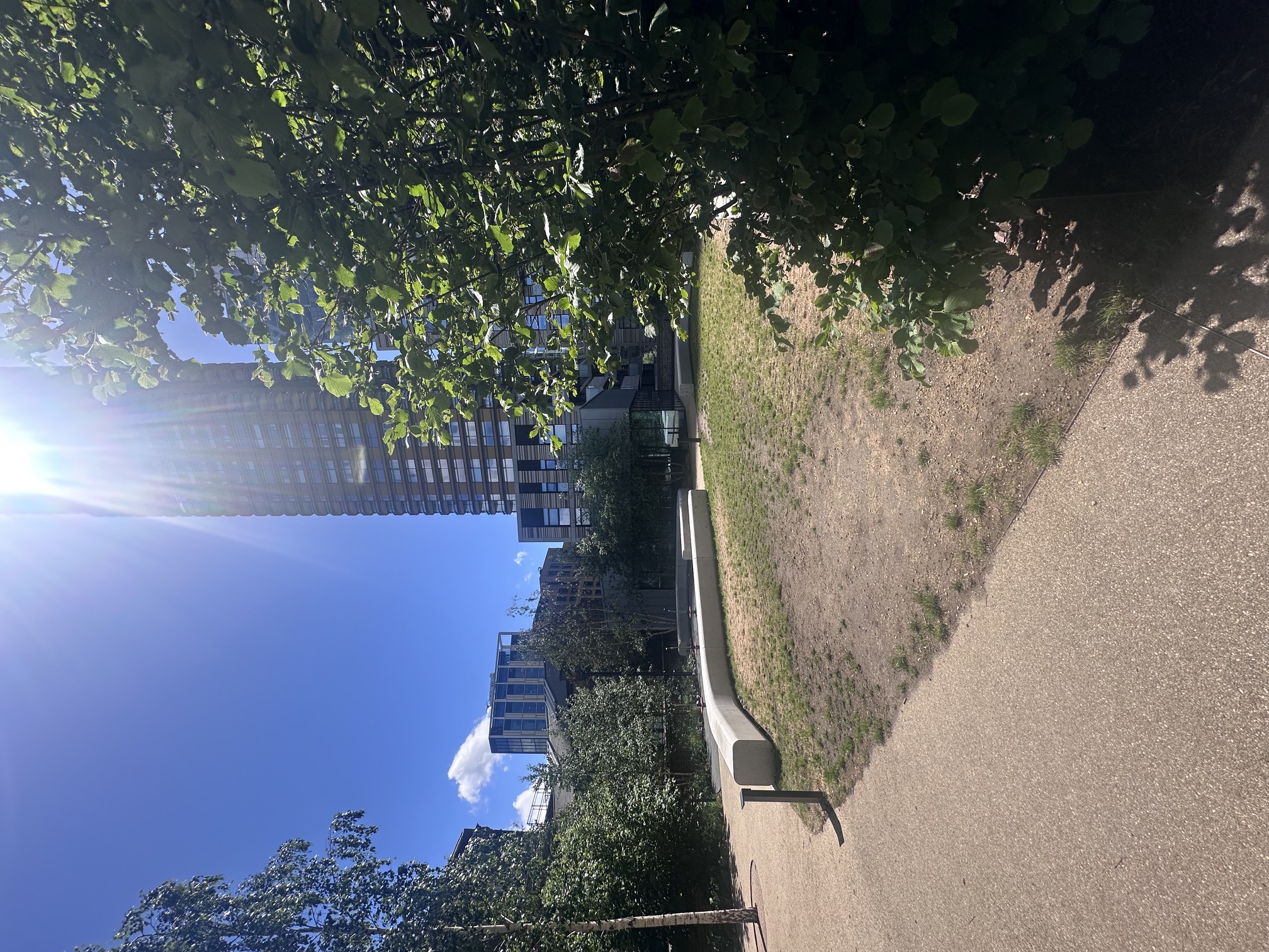 image-20
