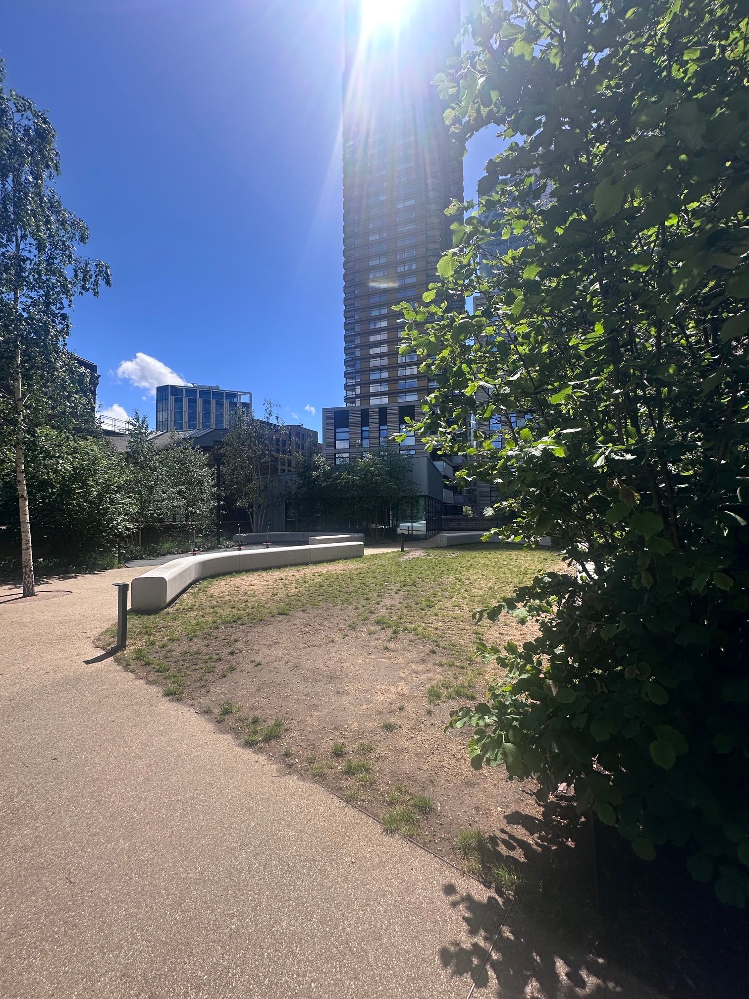 image-20