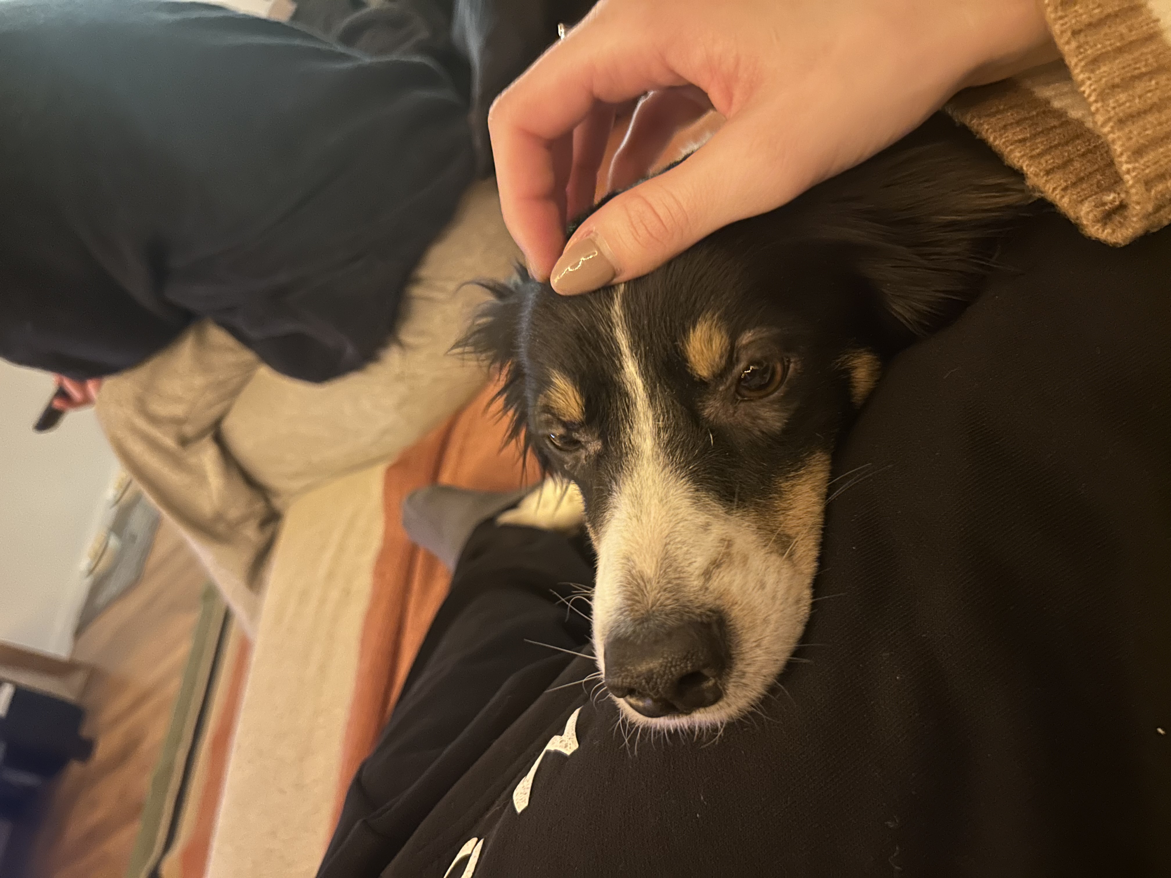 image-6