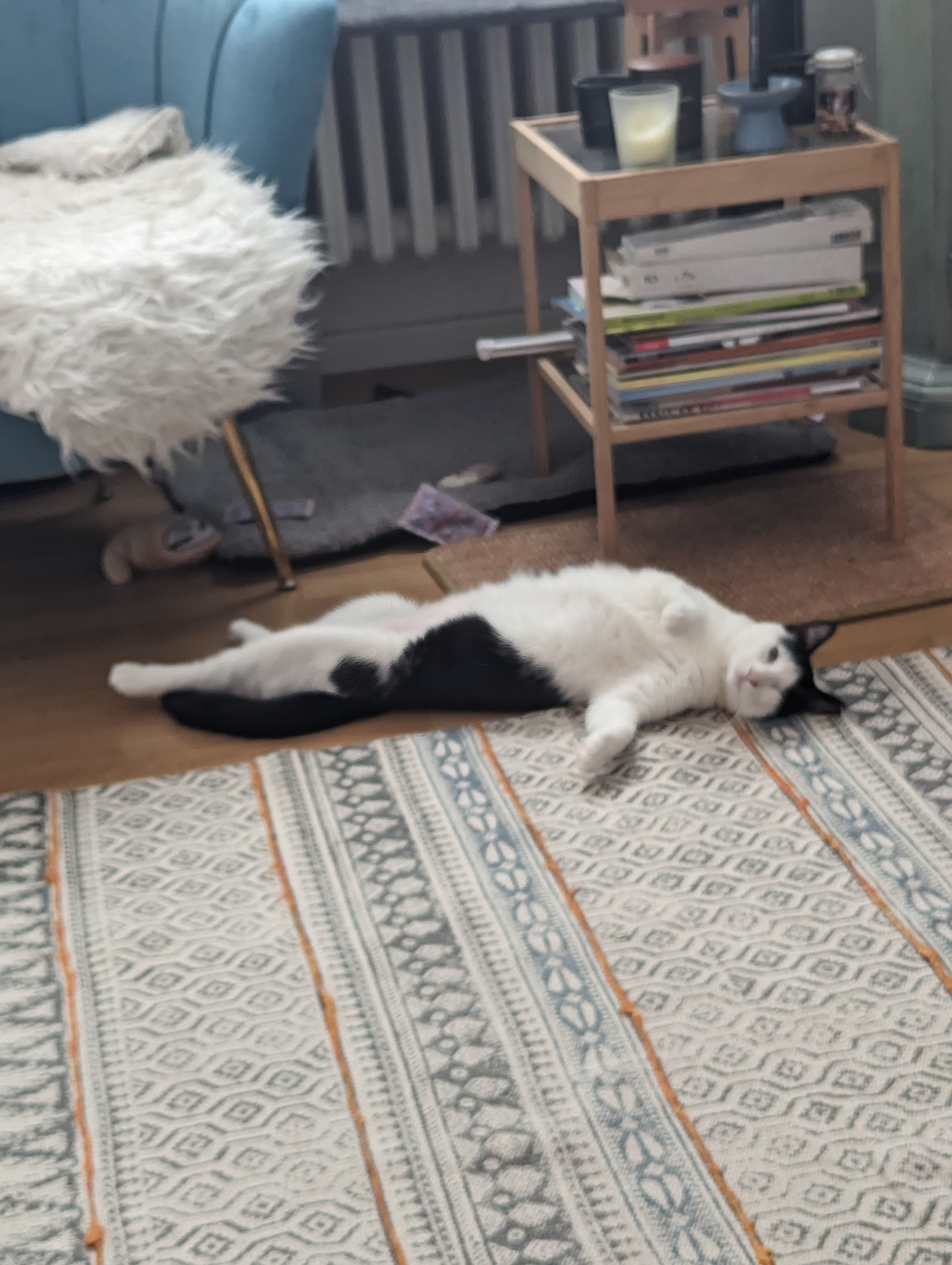 image-8