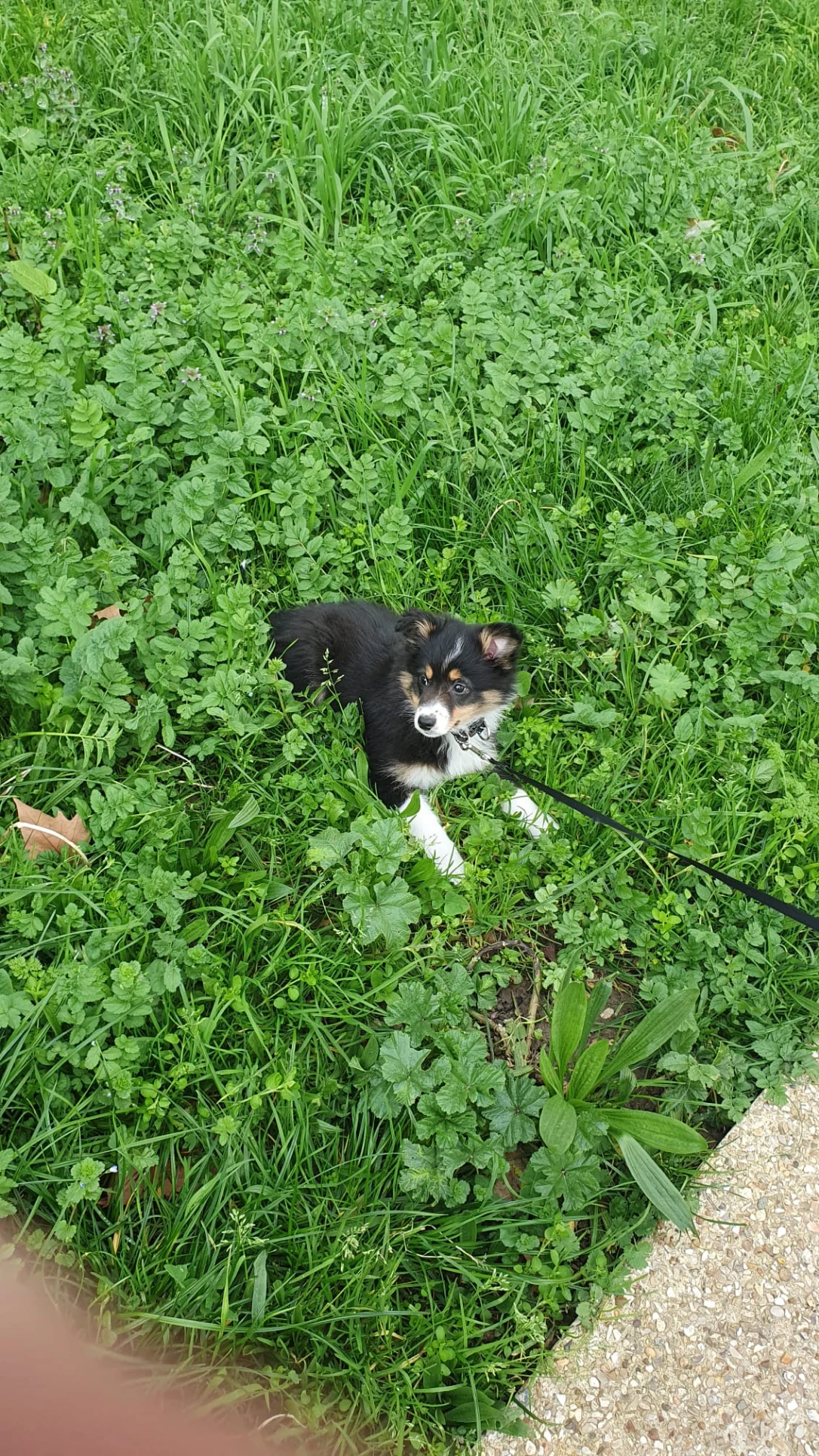 image-7