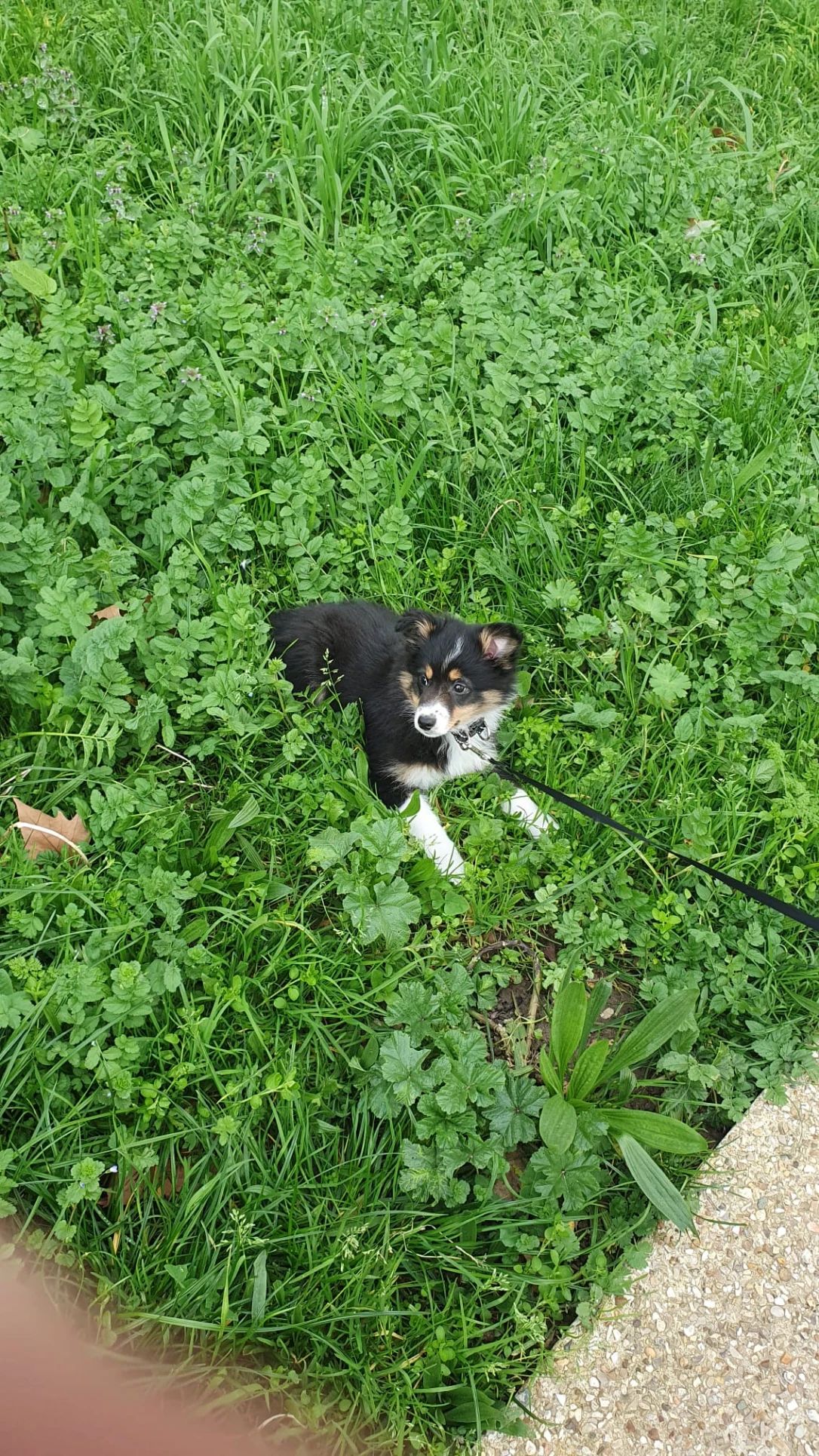 image-7
