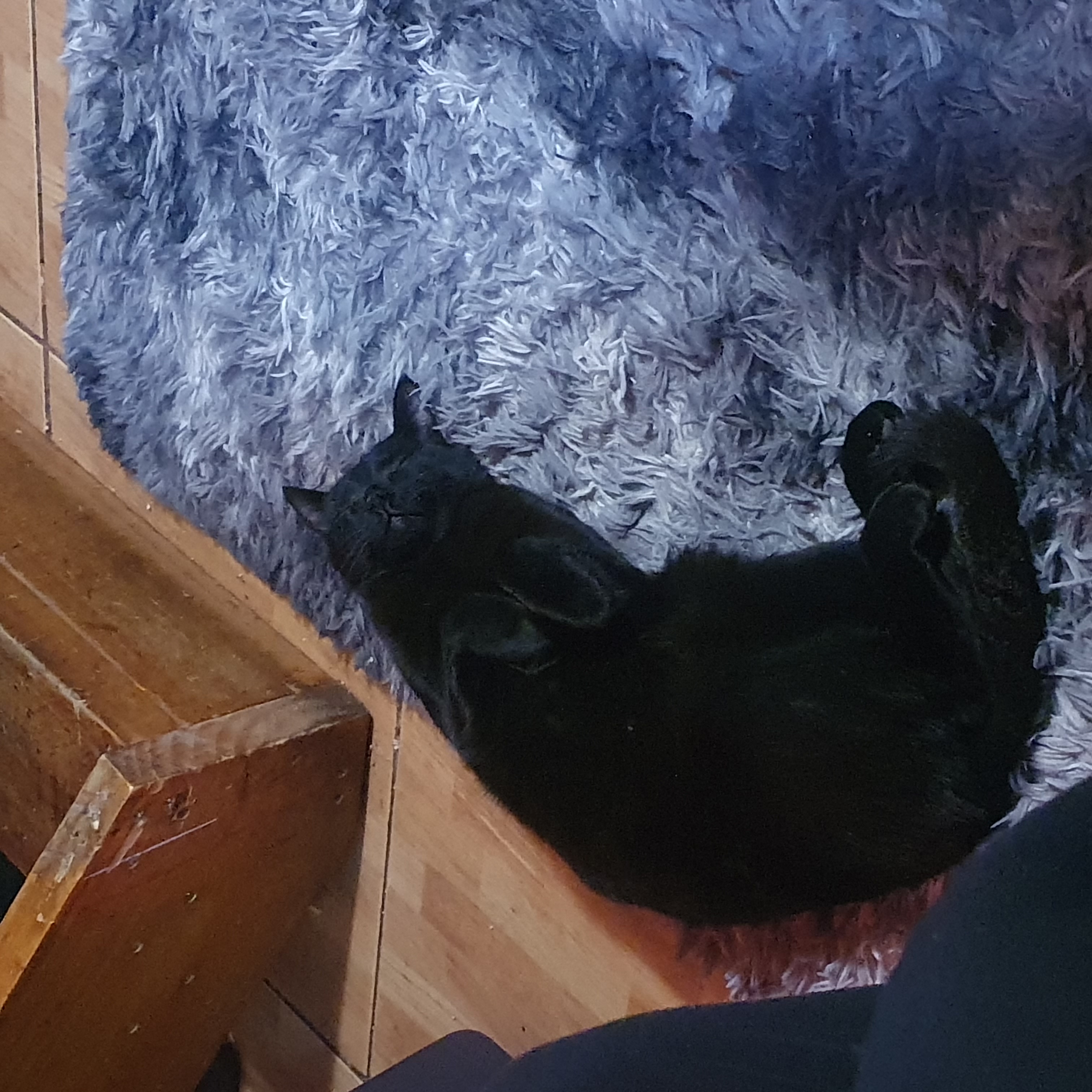 image-4