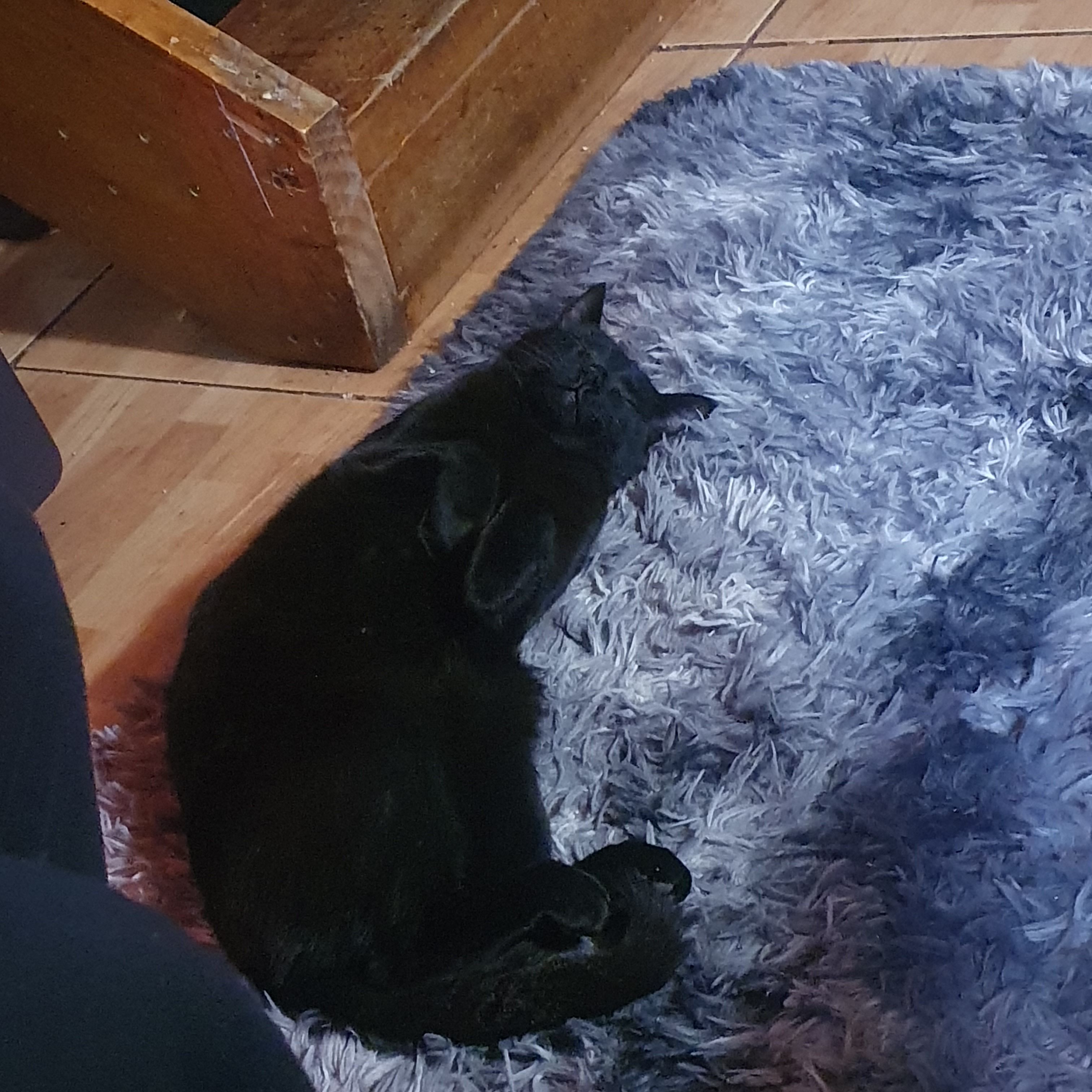 image-5