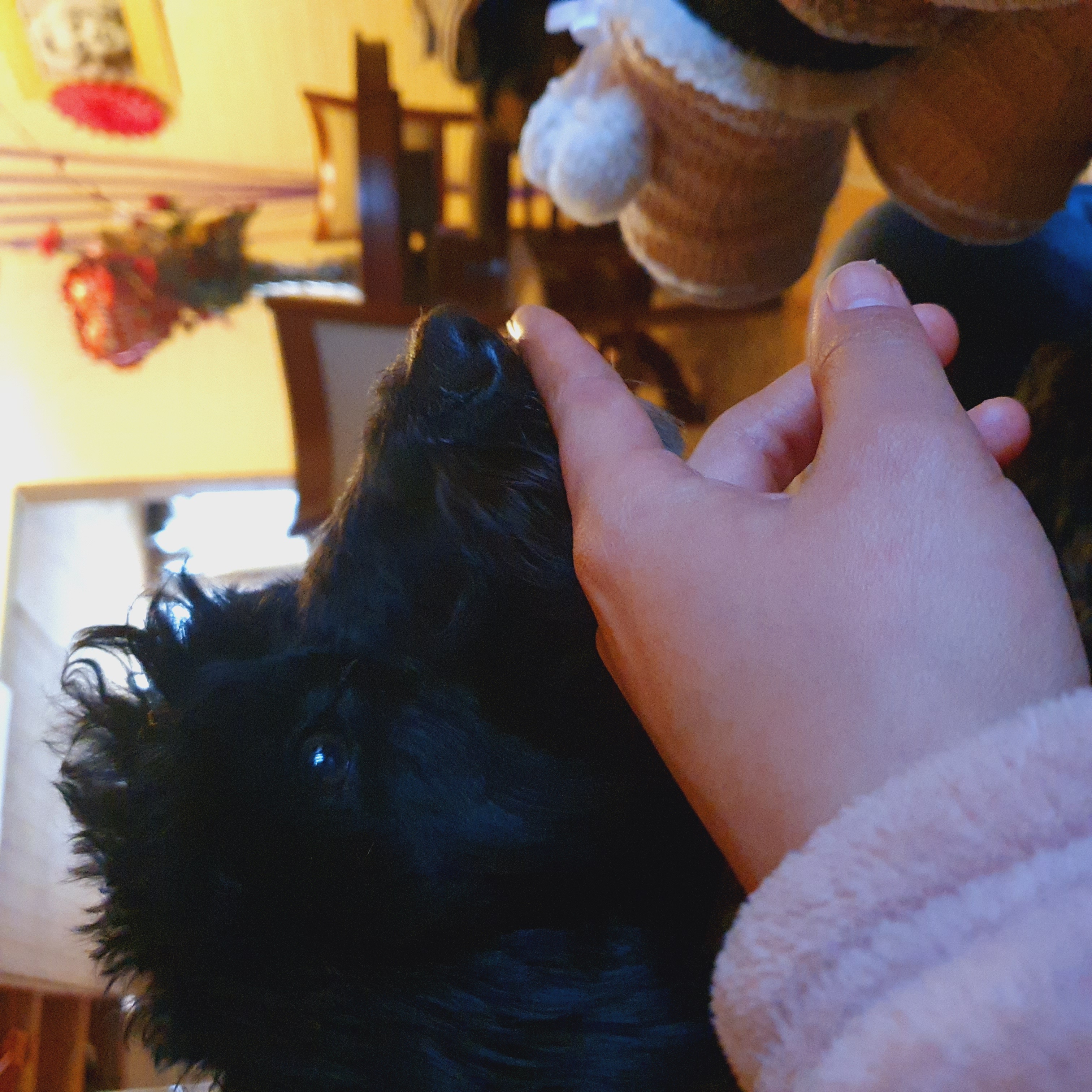 image-6