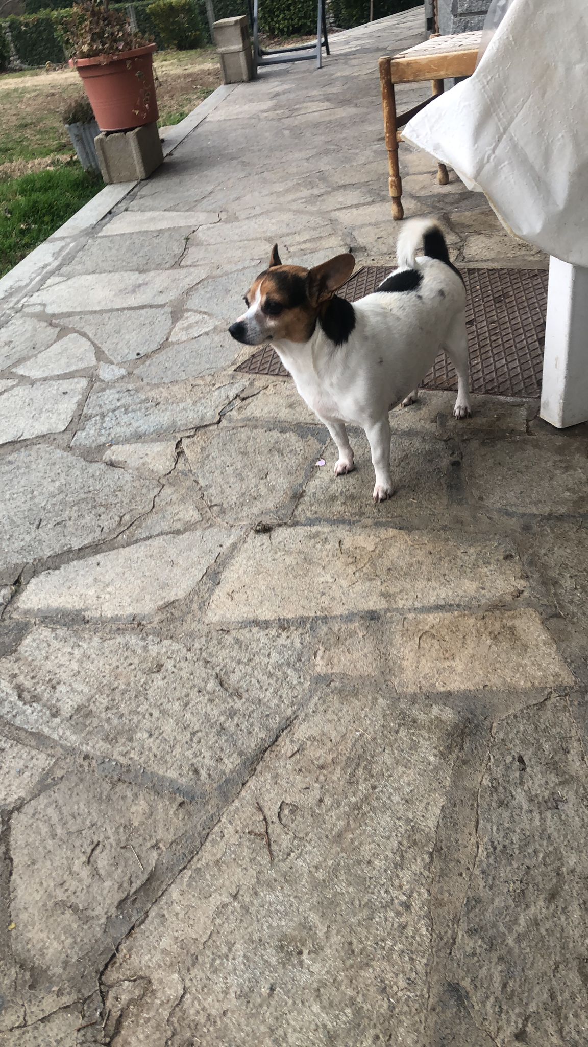 image-14
