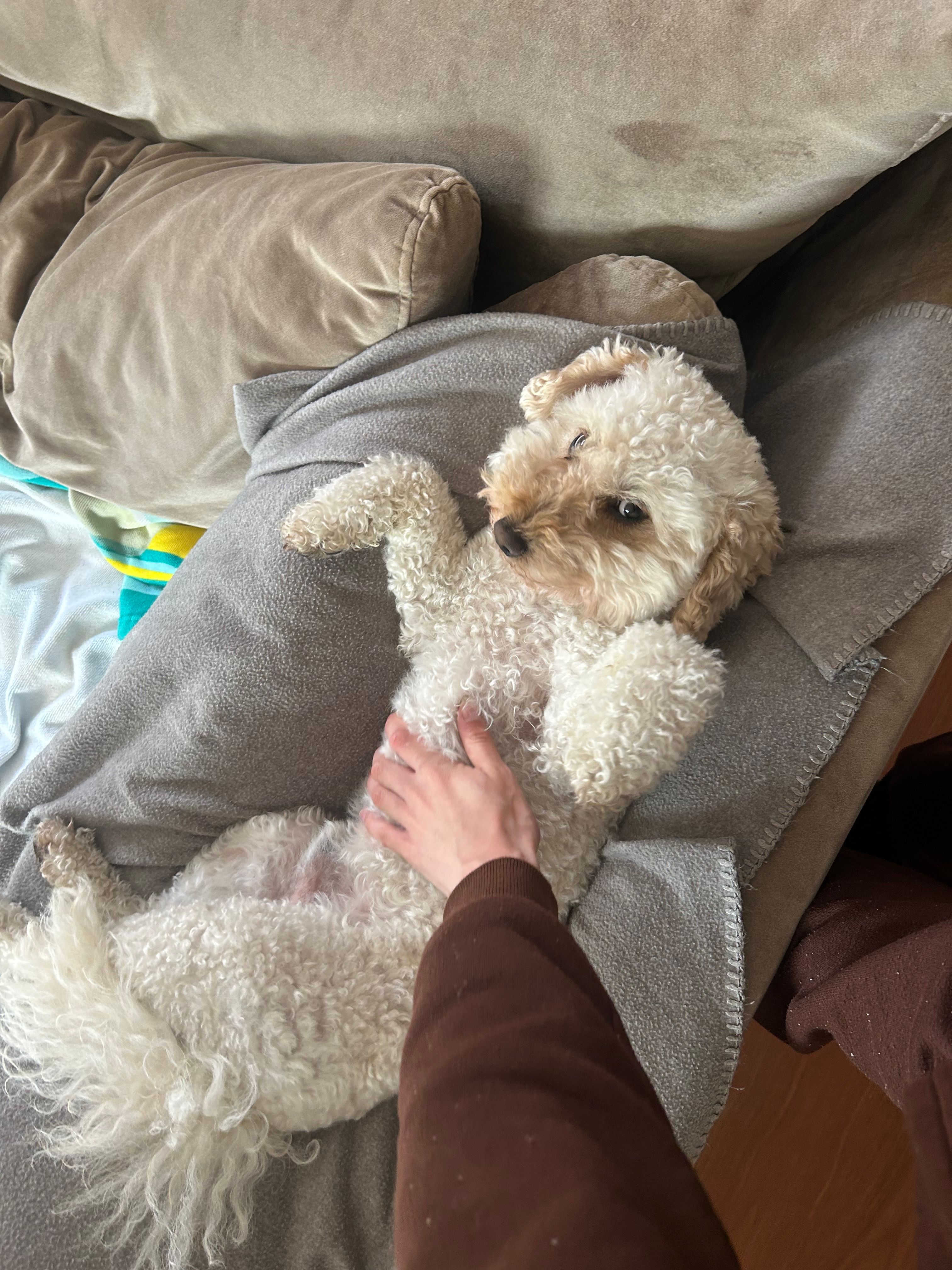 image-6