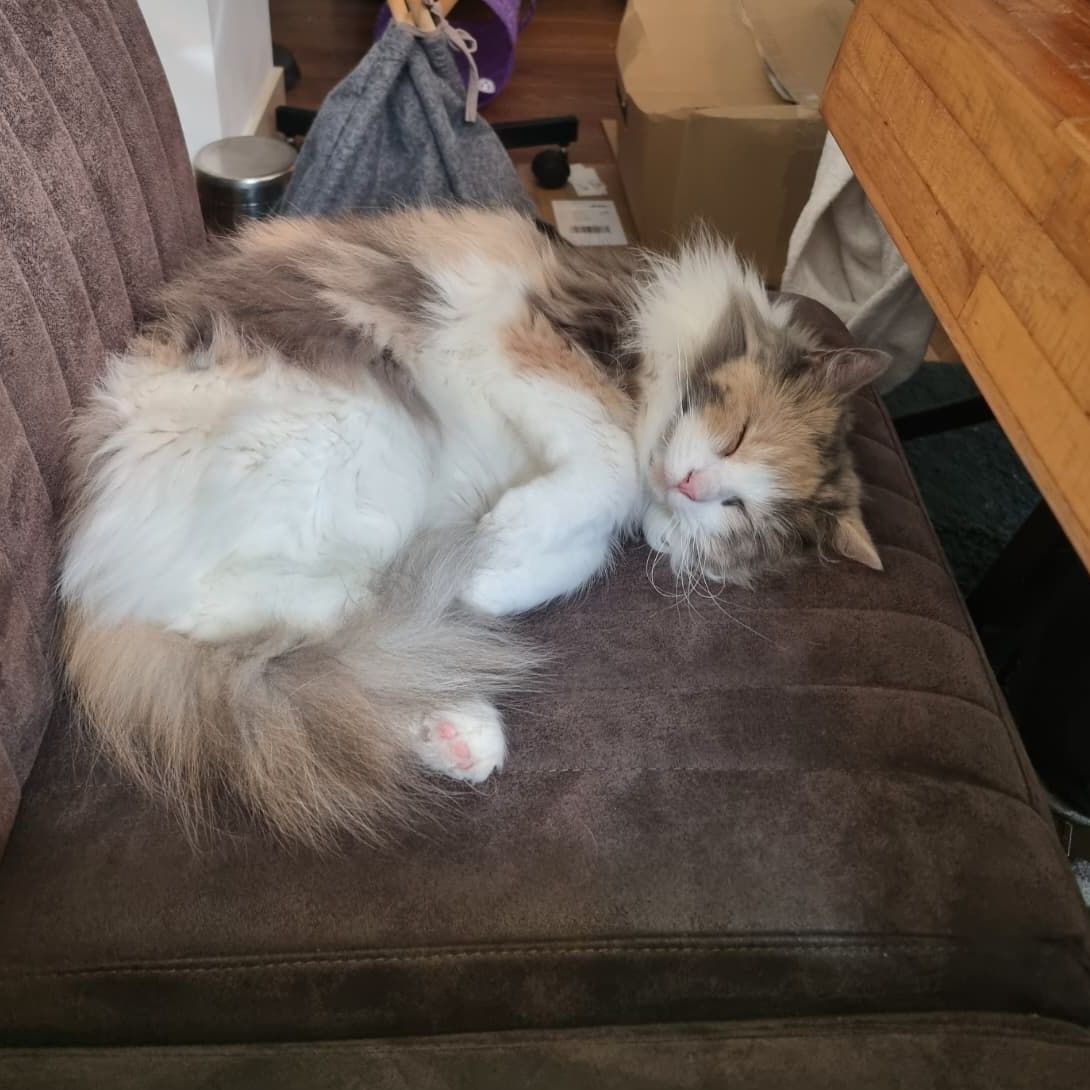 Marley