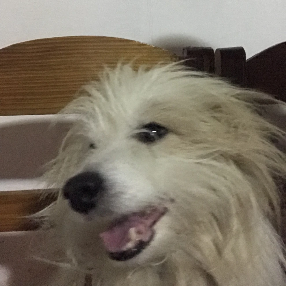 Babou