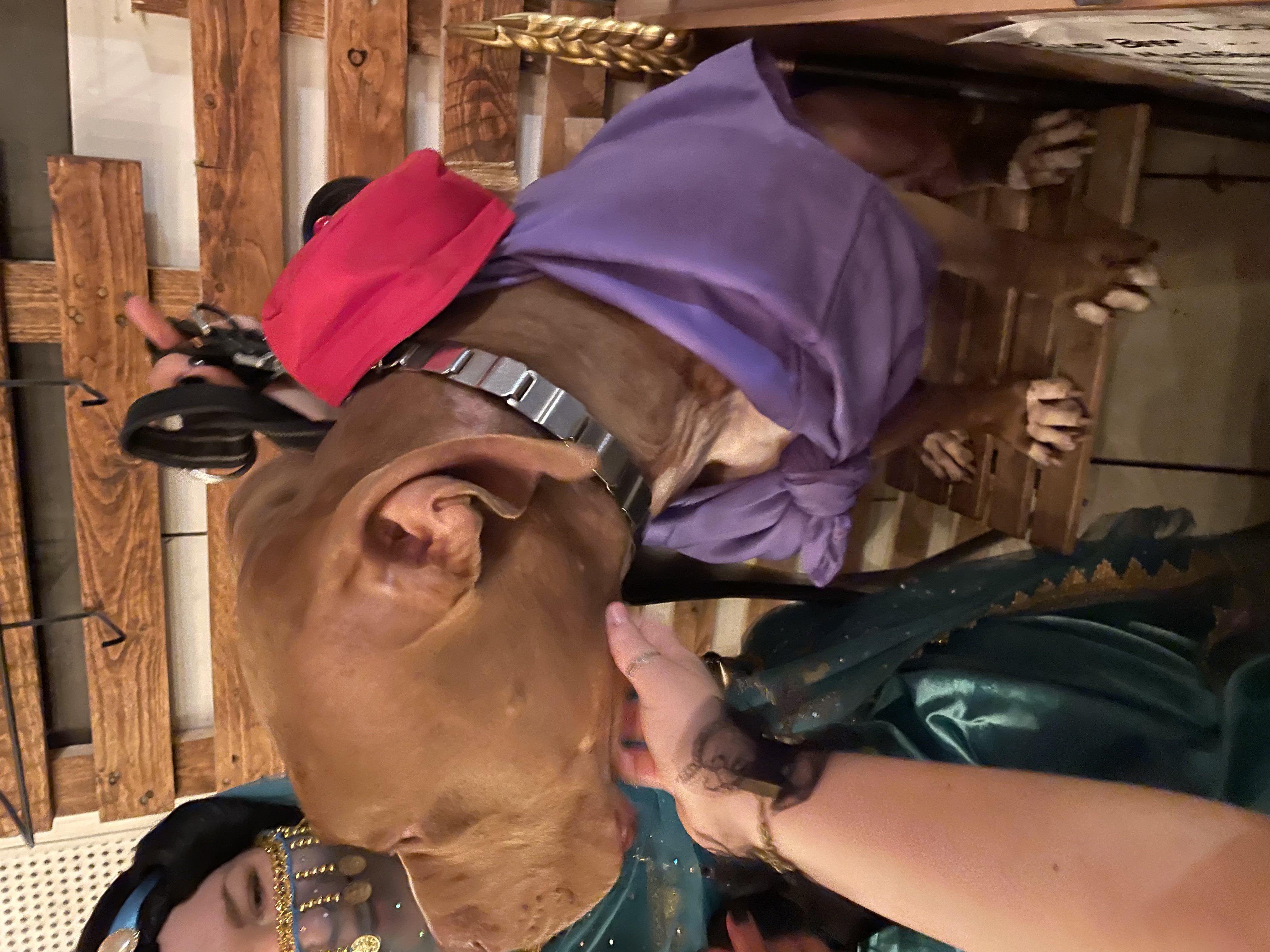 image-6