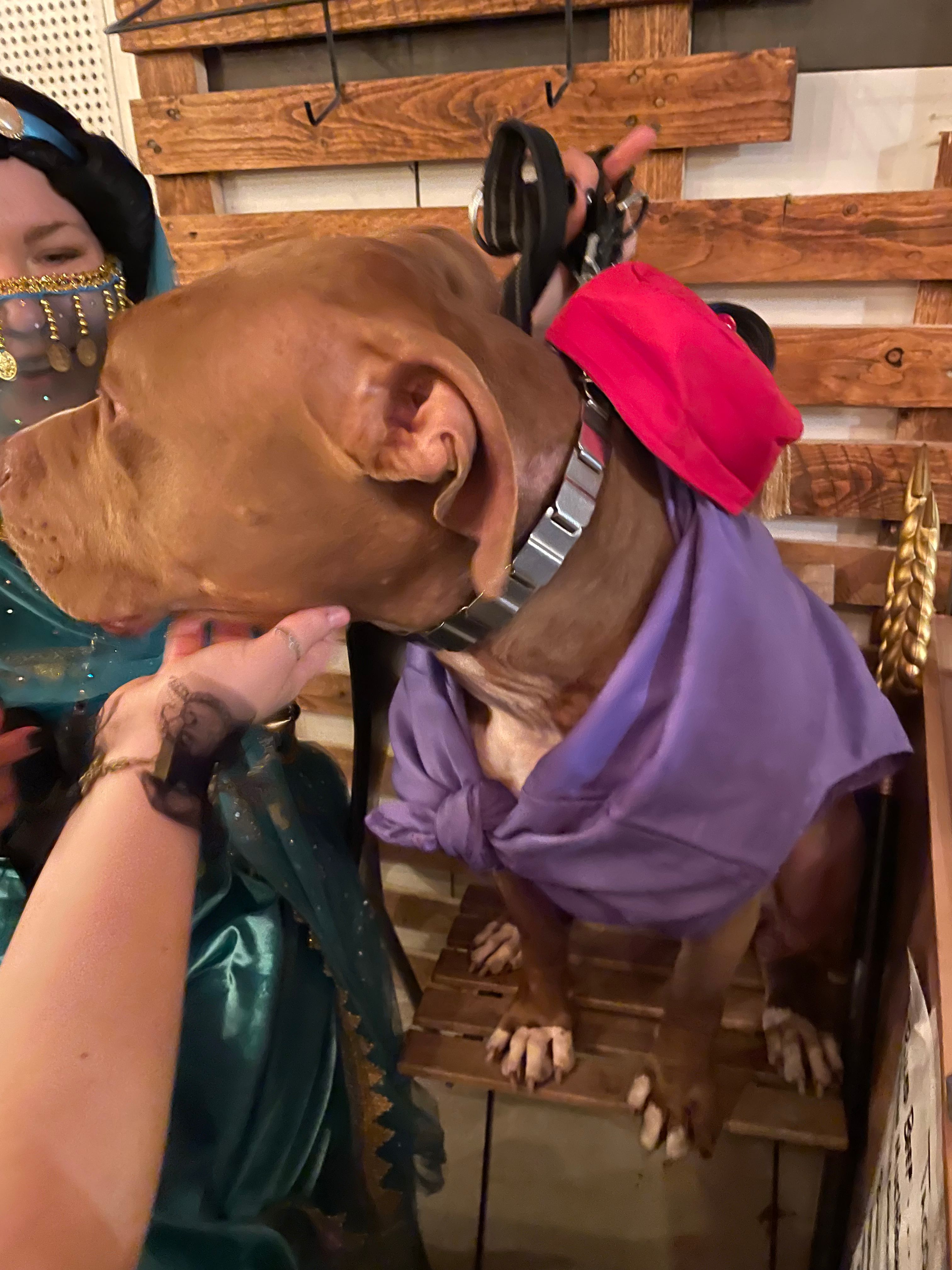 image-6