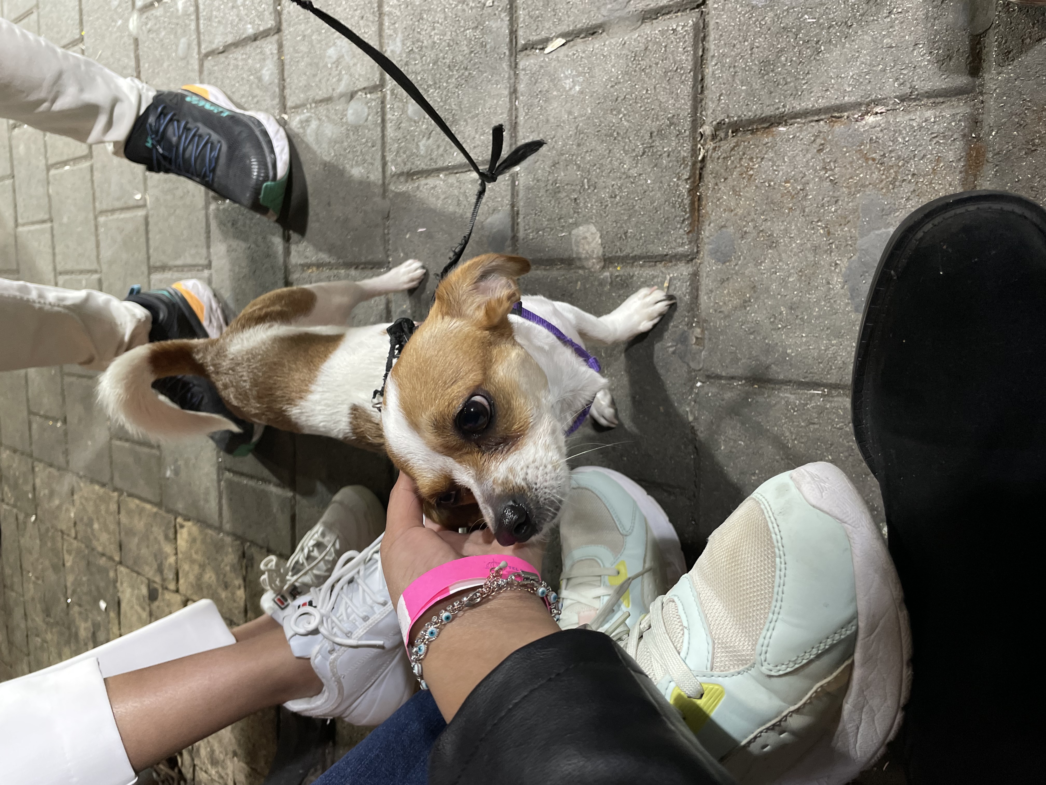 image-5