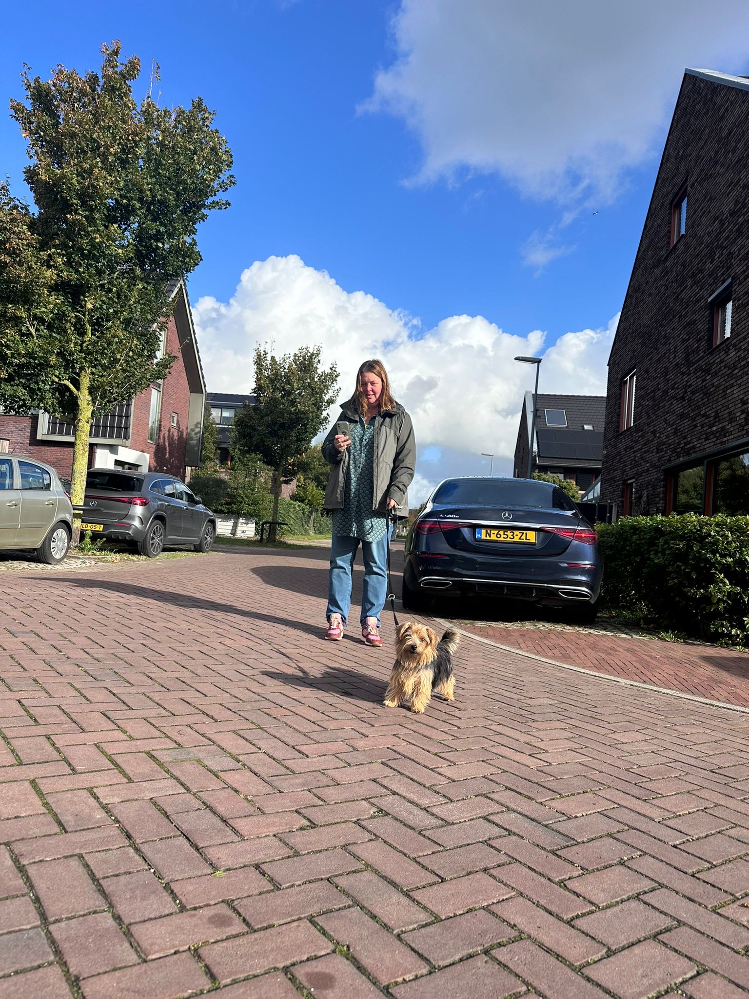 image-7