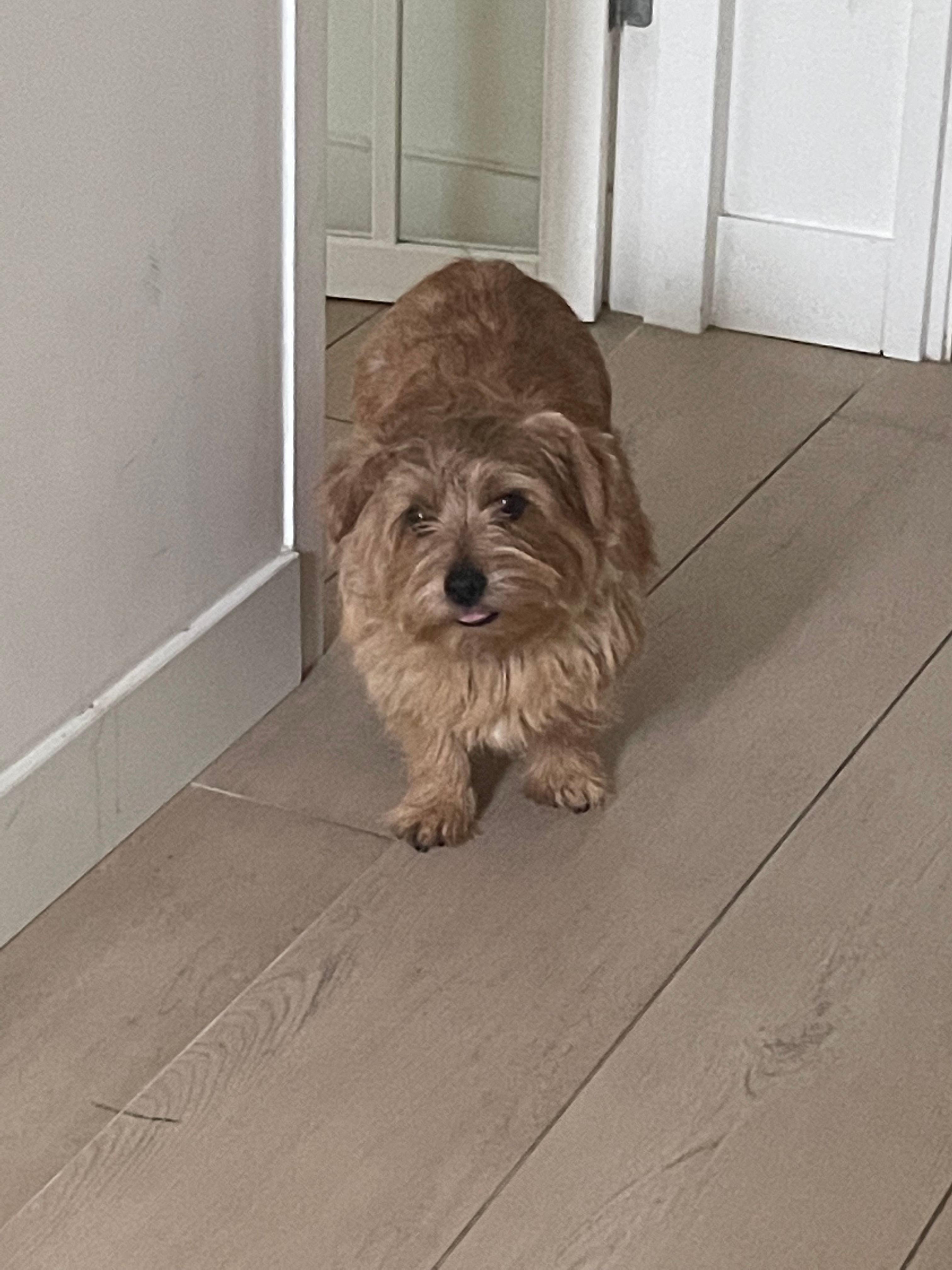 image-21