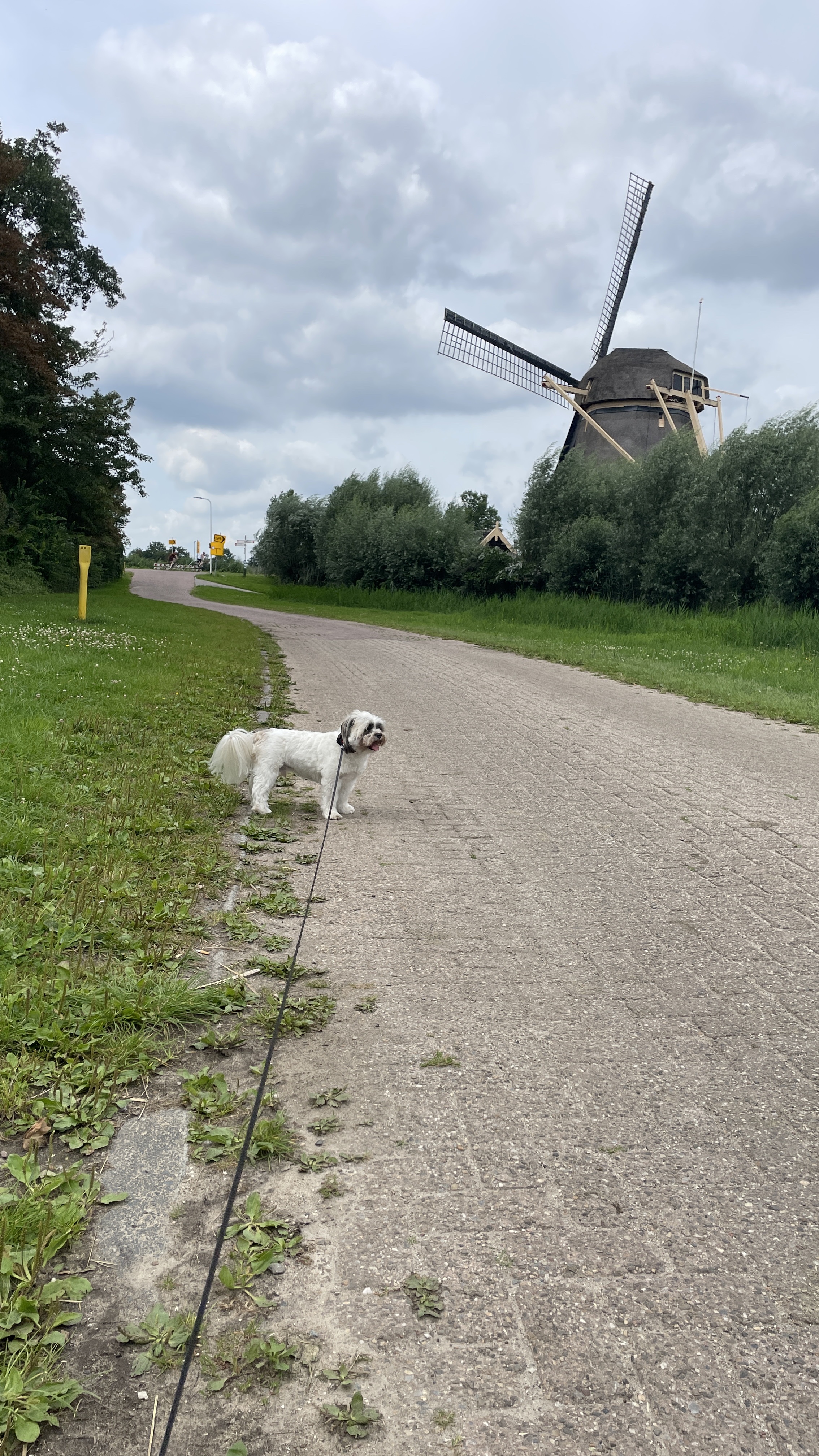 image-15