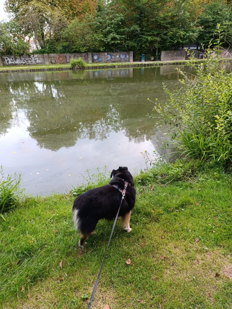 image-54