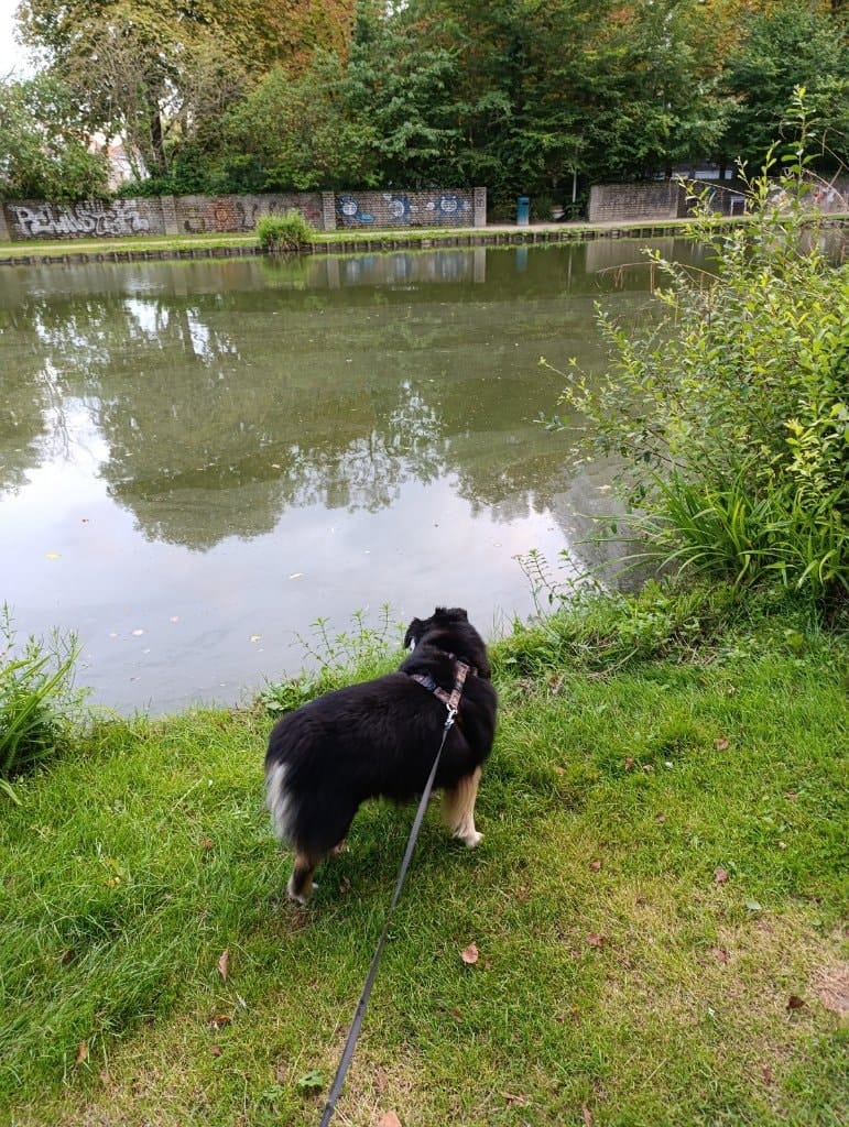 image-54