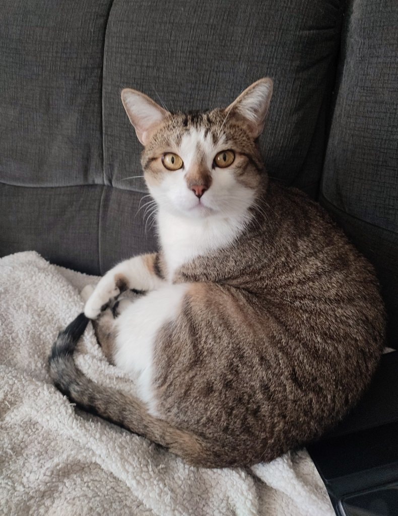 image-4