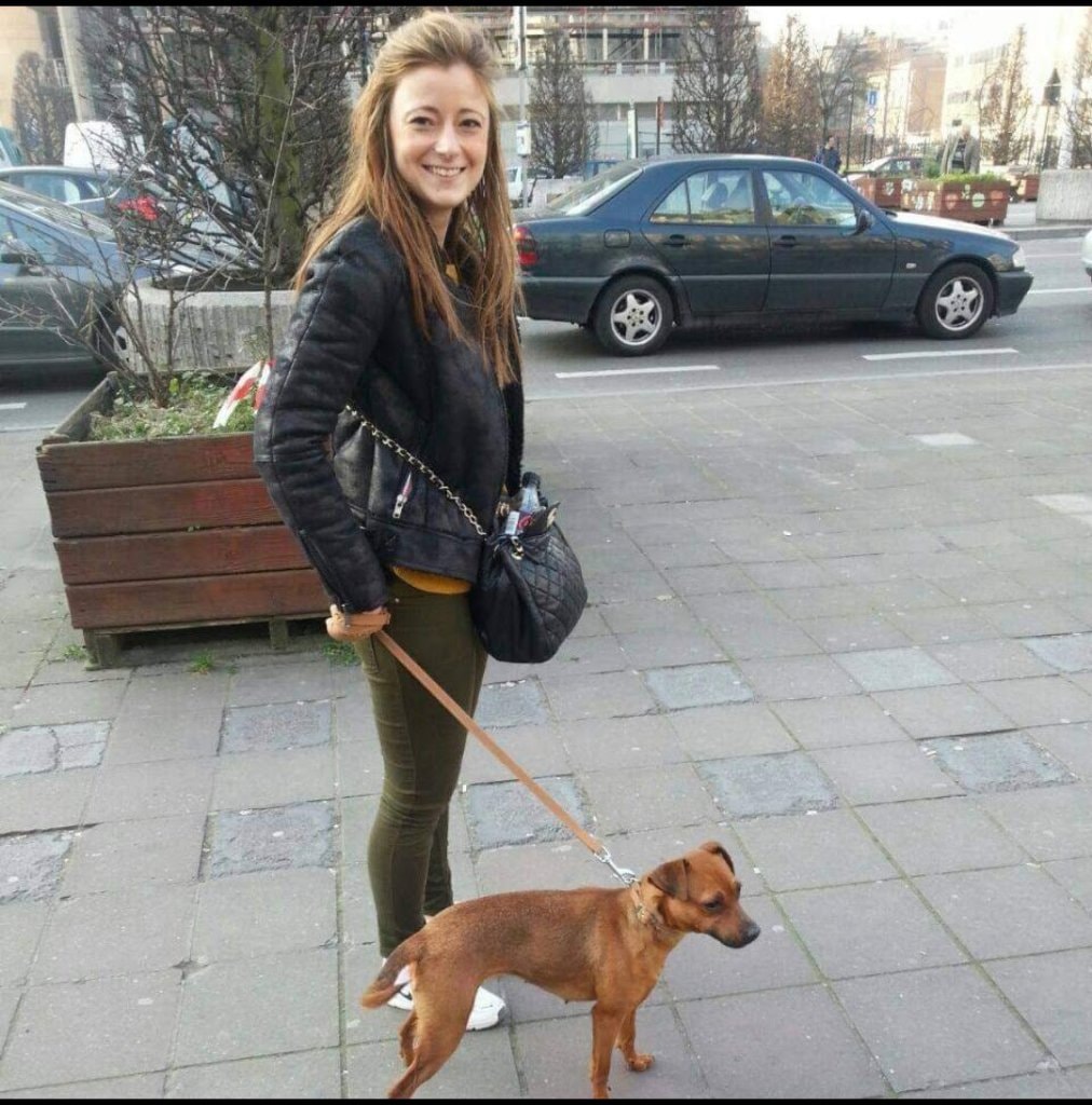 image-2