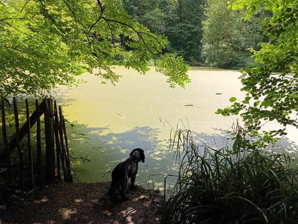 image-25