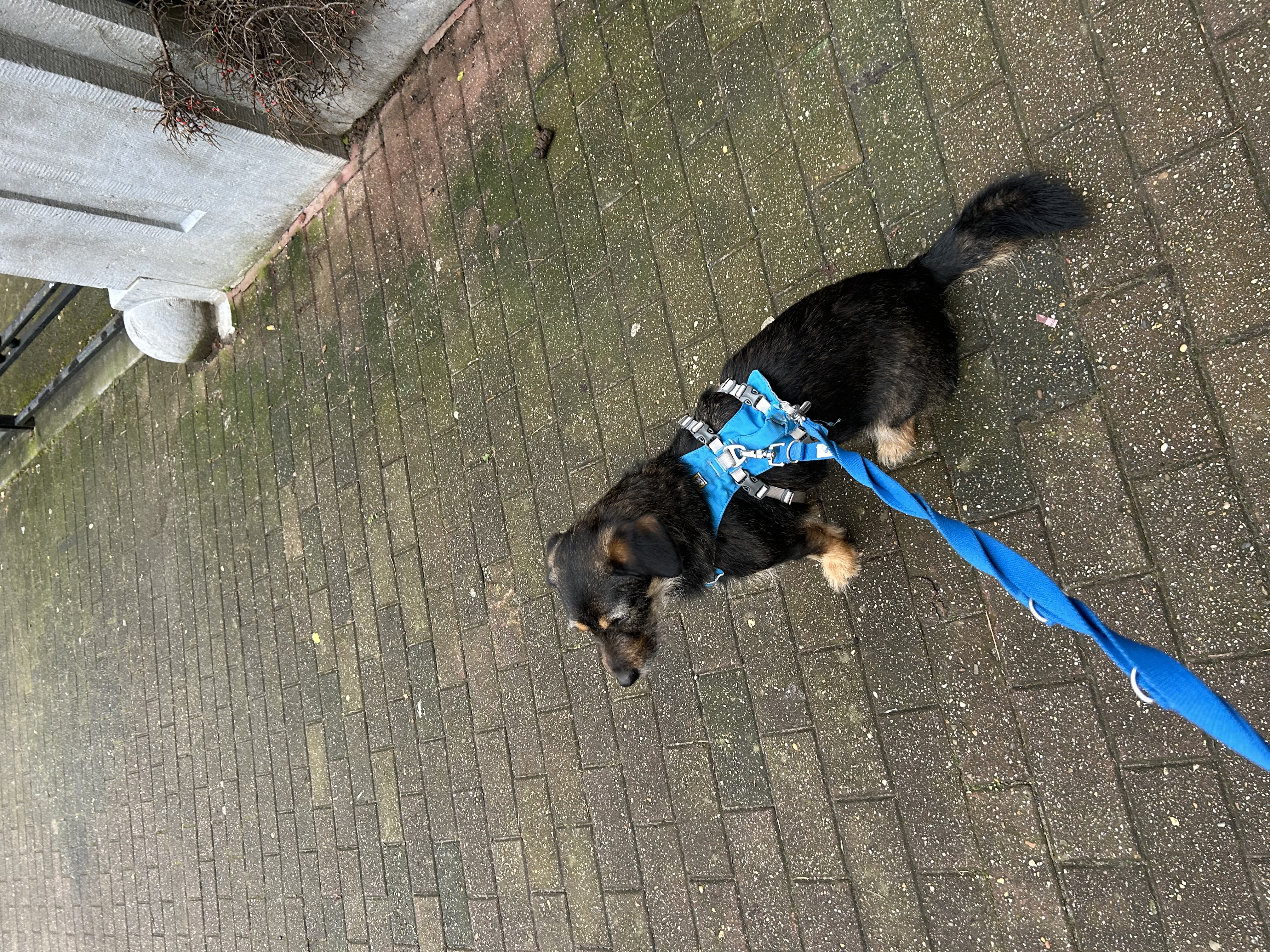 image-5