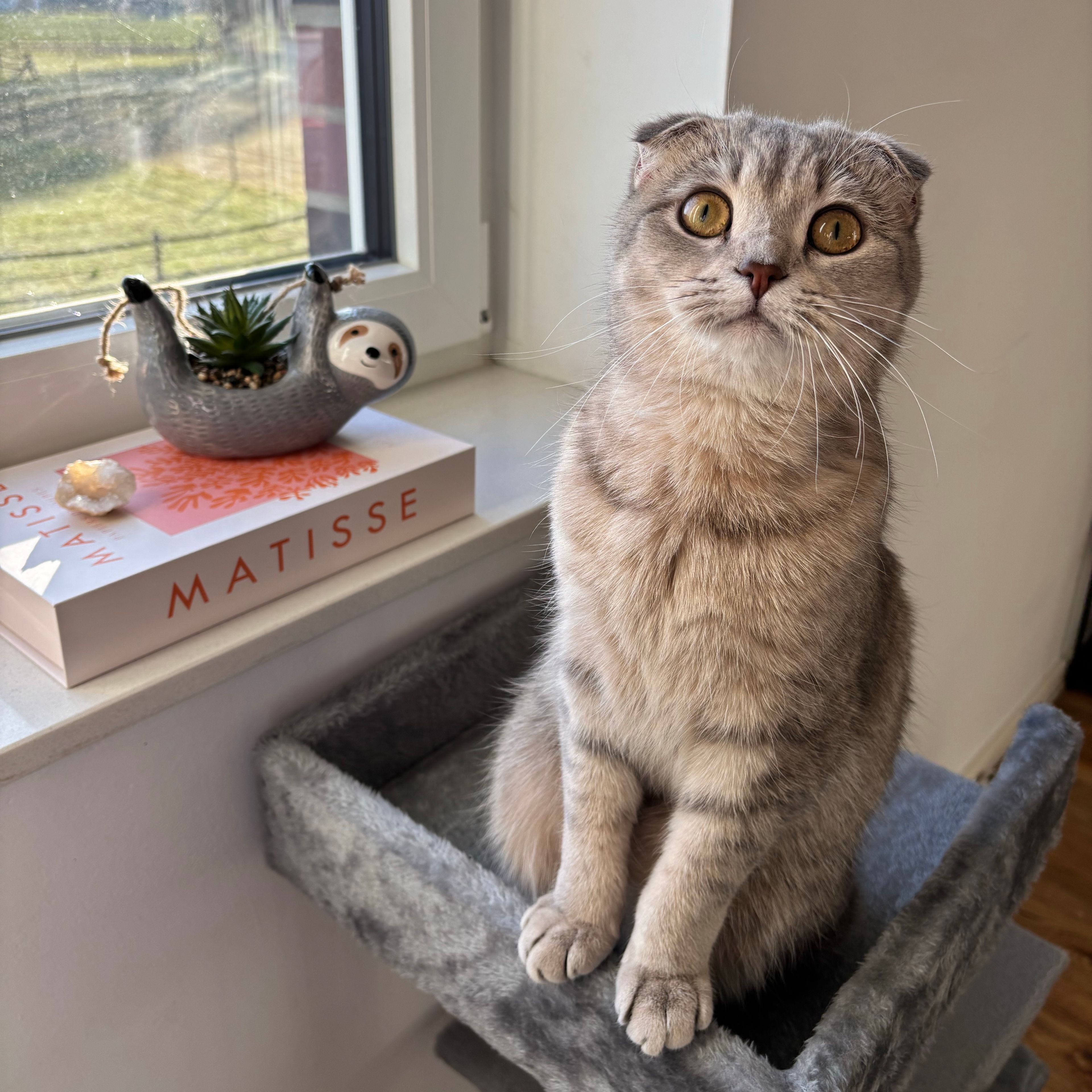 Luna