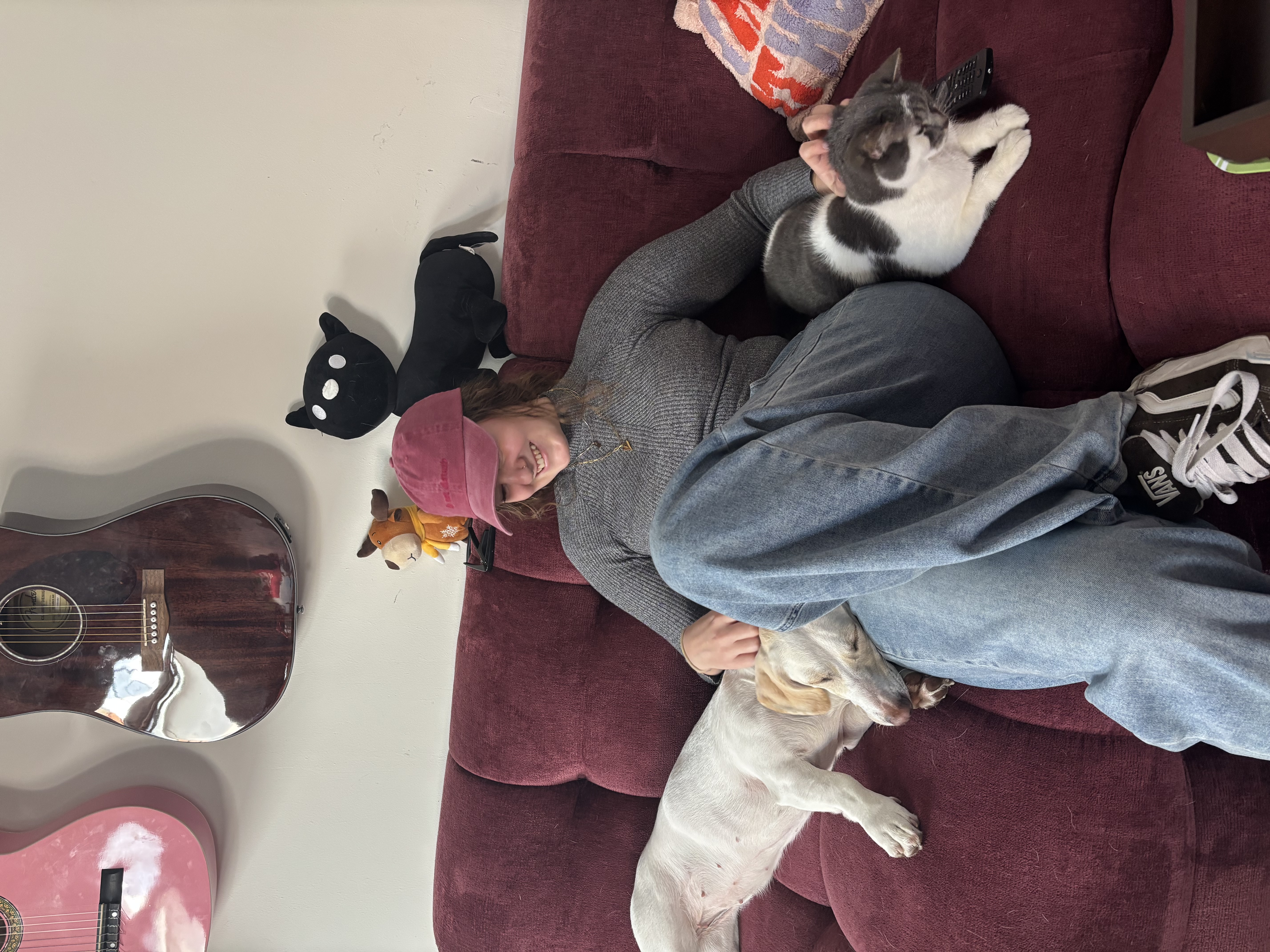 image-6