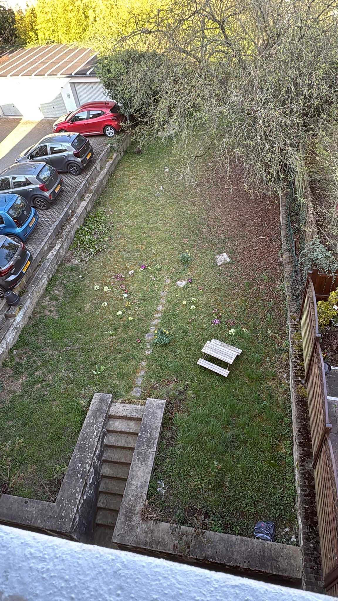 image-4