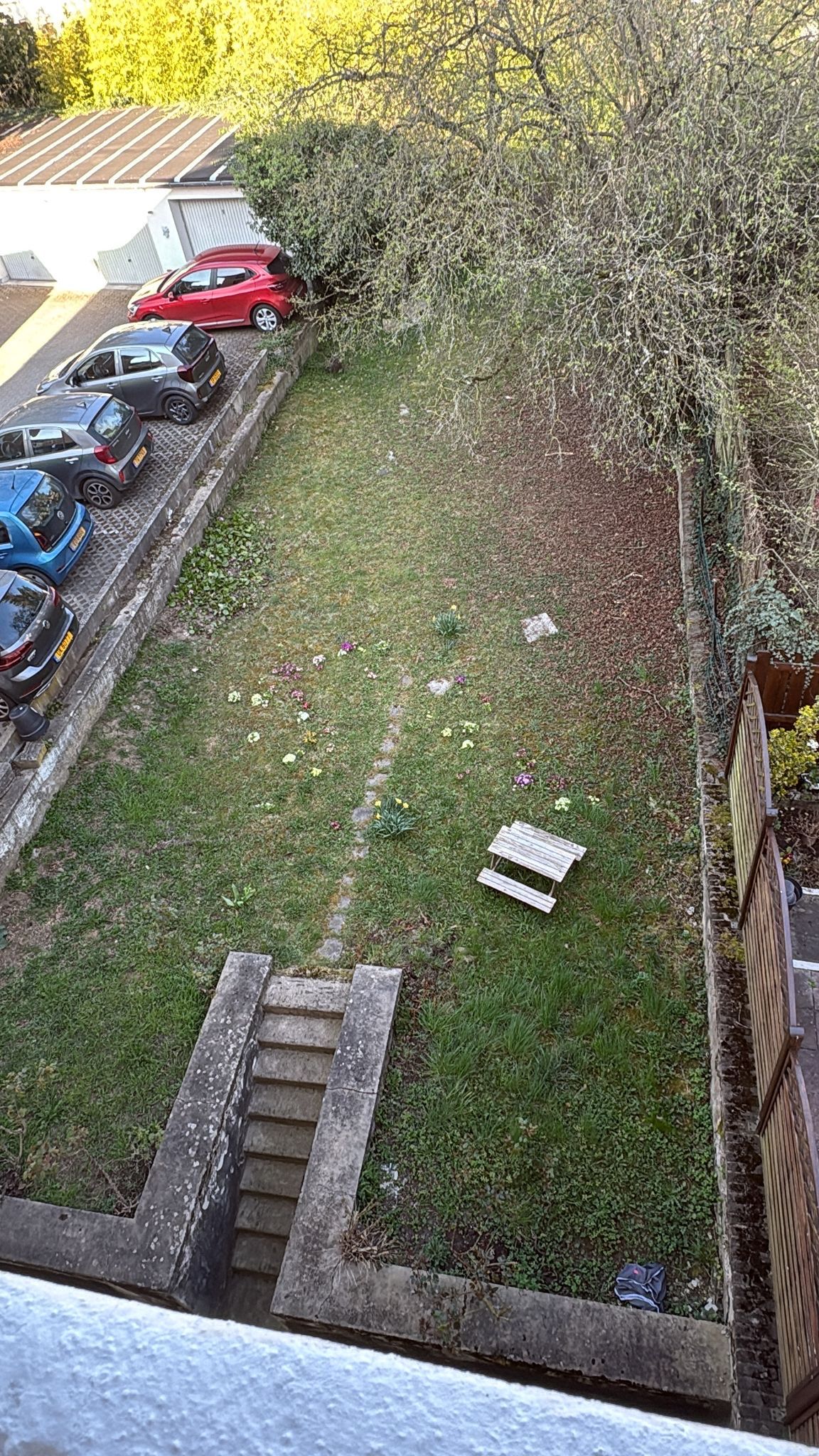 image-4