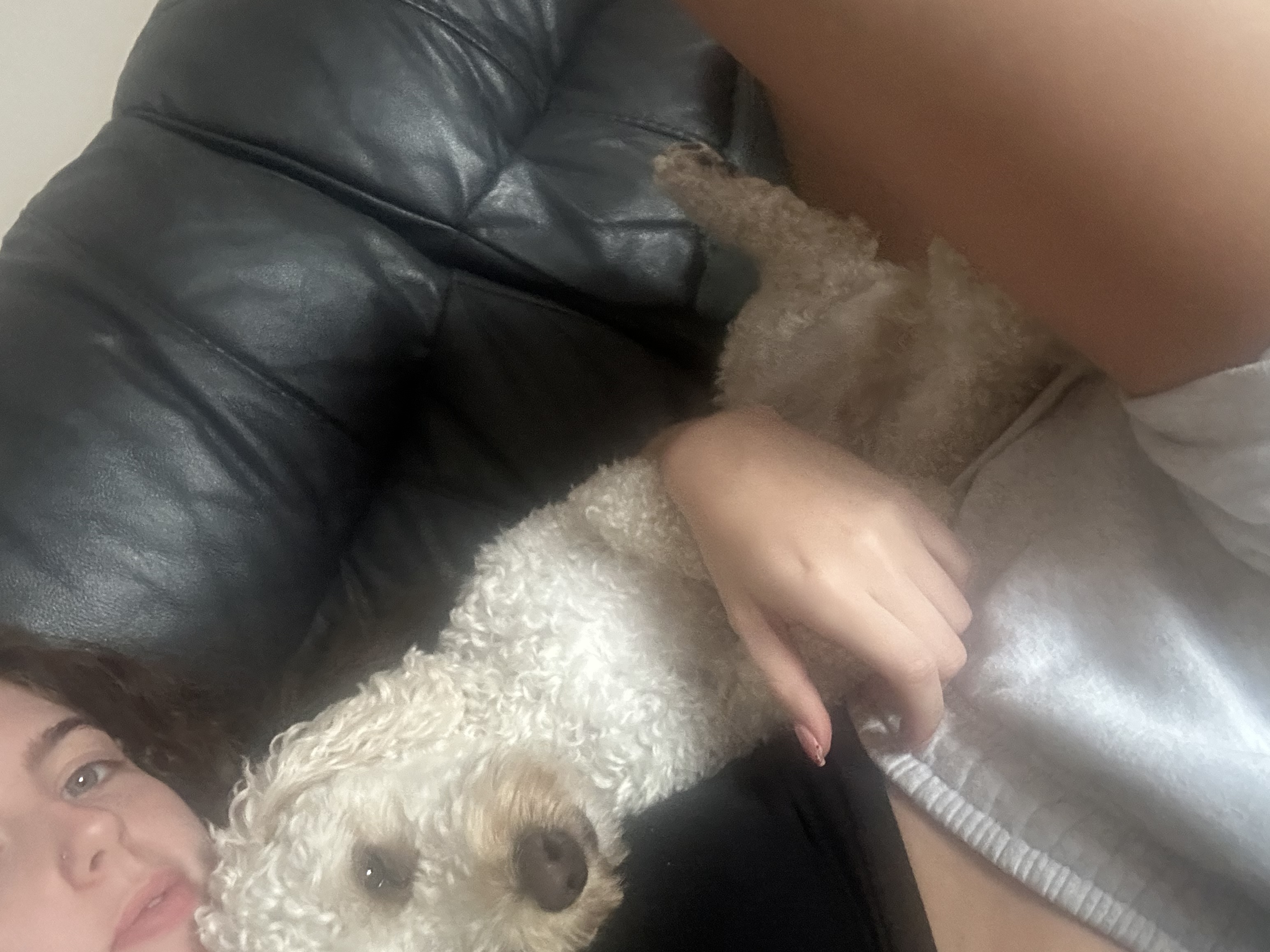 image-5